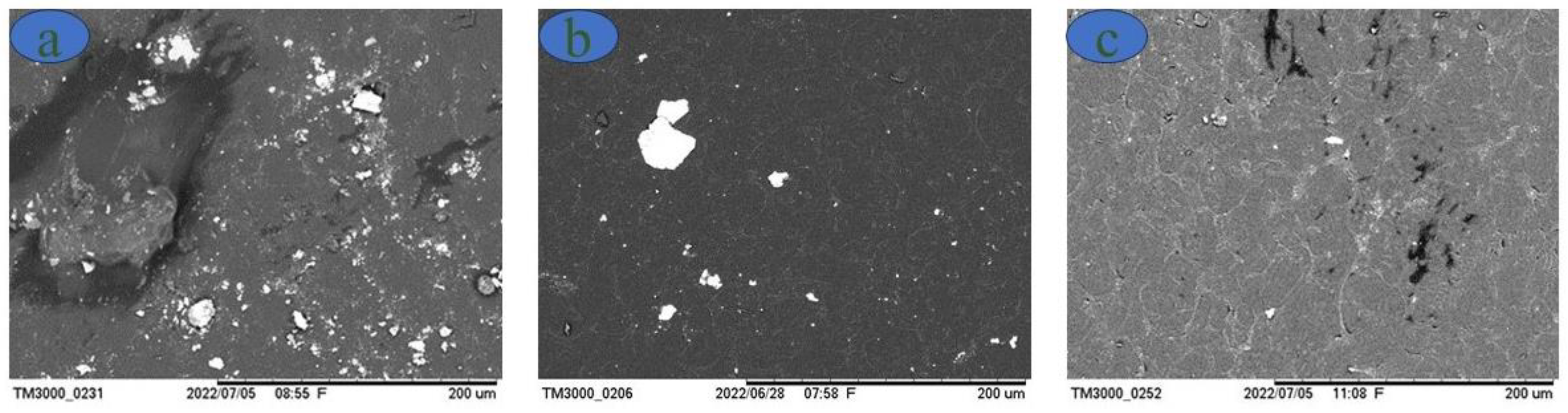 Preprints 104294 g004