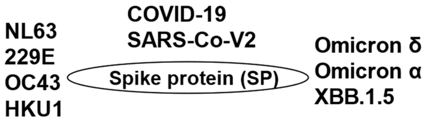 Preprints 118191 g001