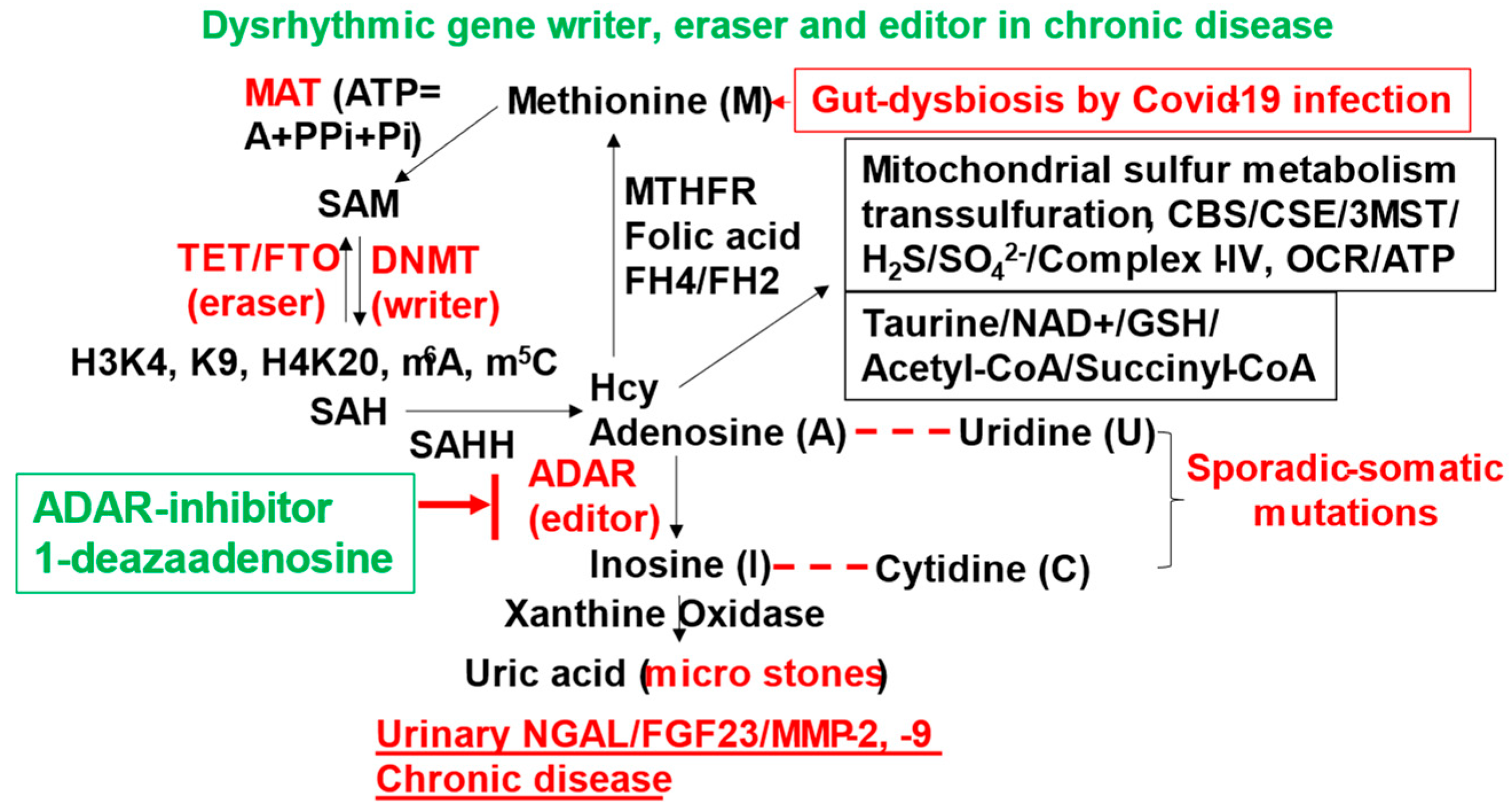 Preprints 118191 g002