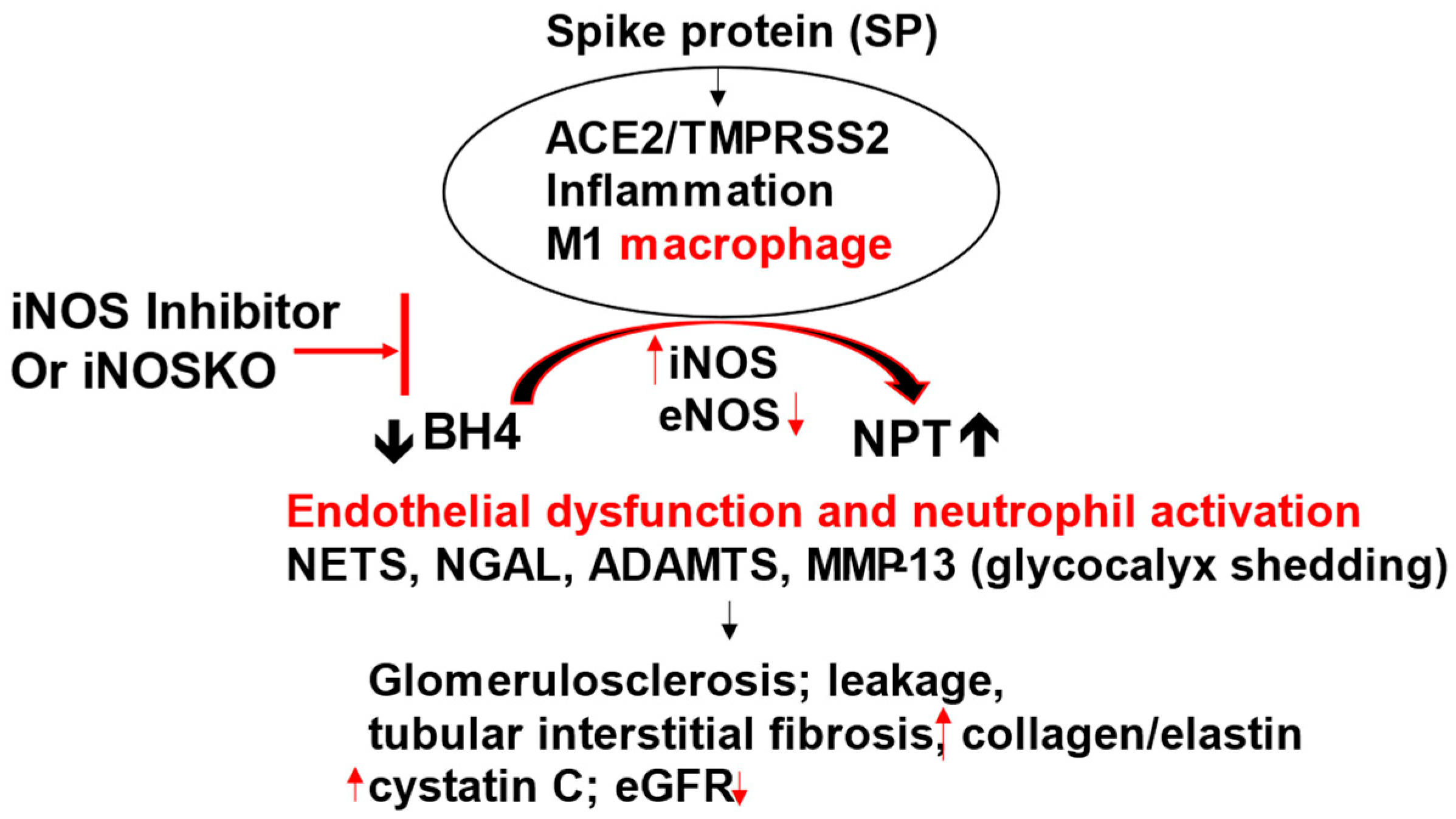 Preprints 118191 g003