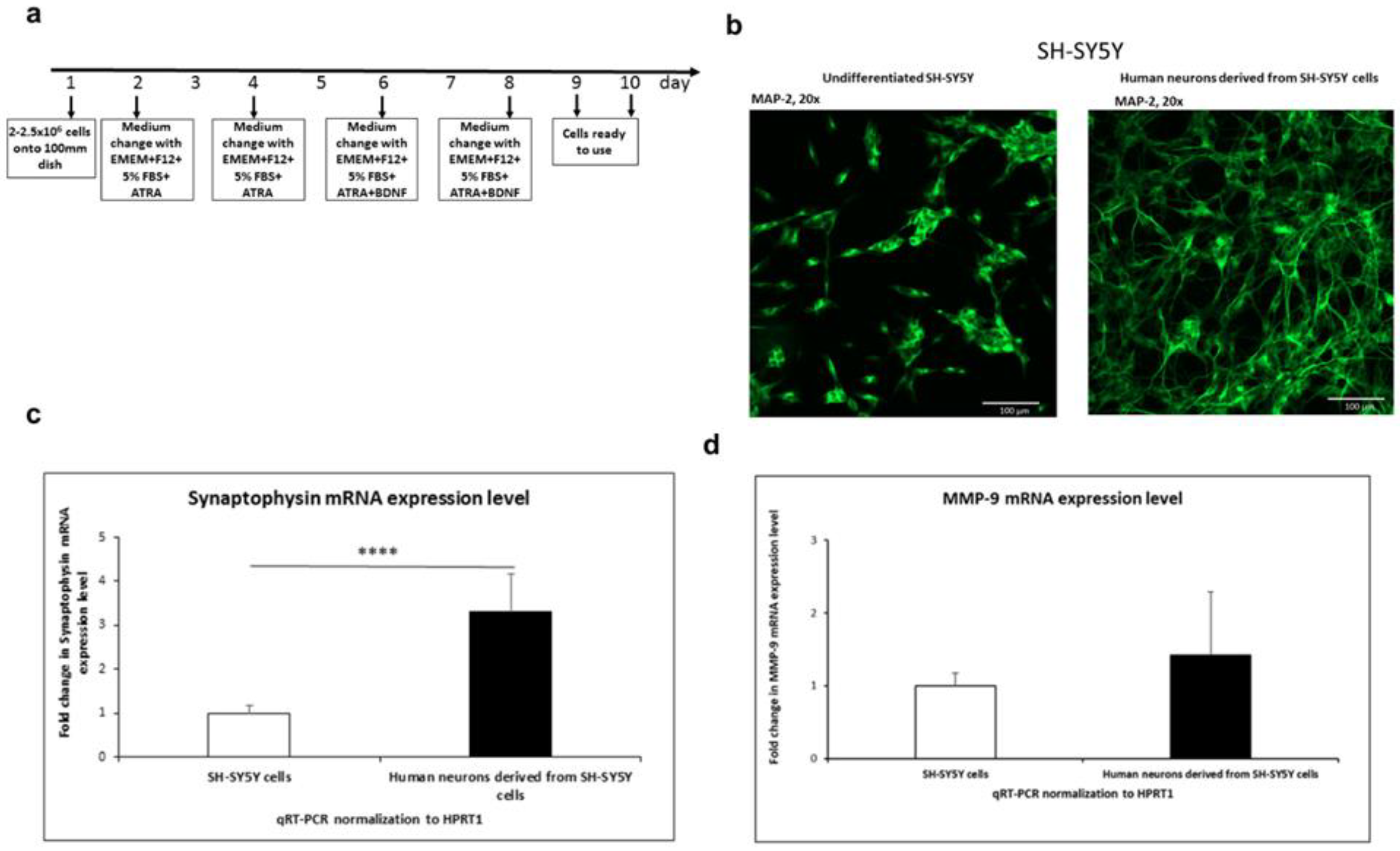 Preprints 86523 g001