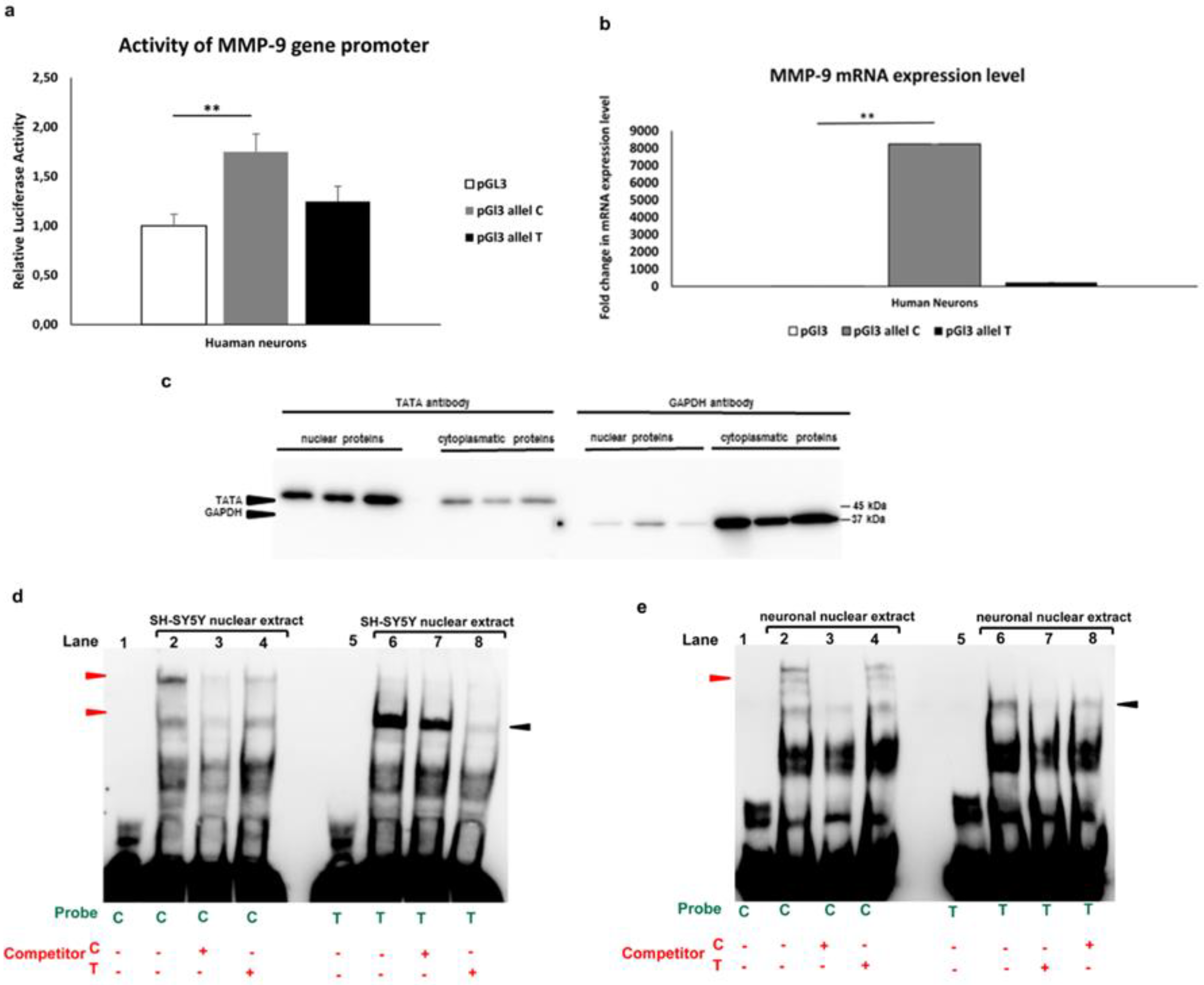 Preprints 86523 g002