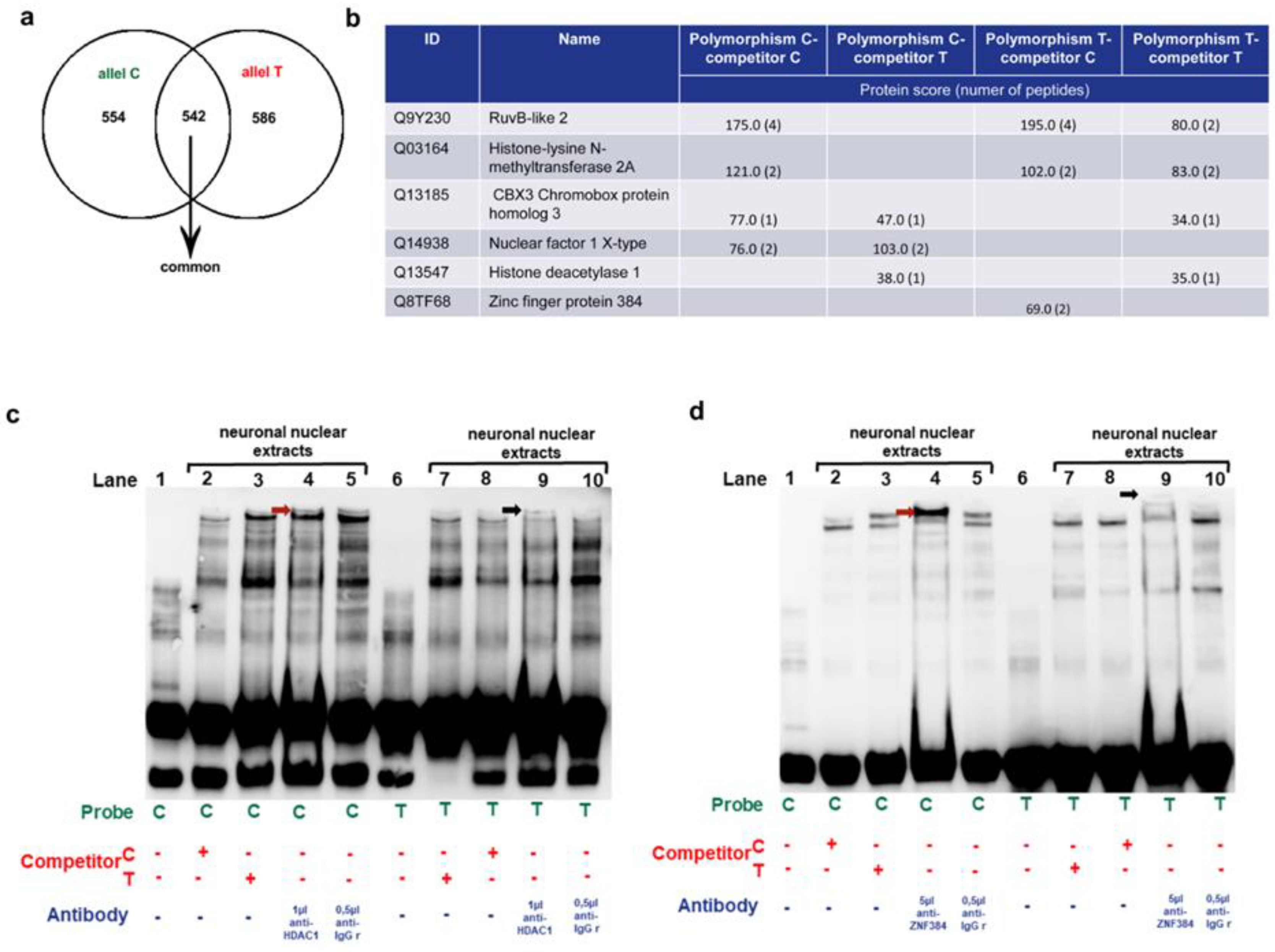 Preprints 86523 g003