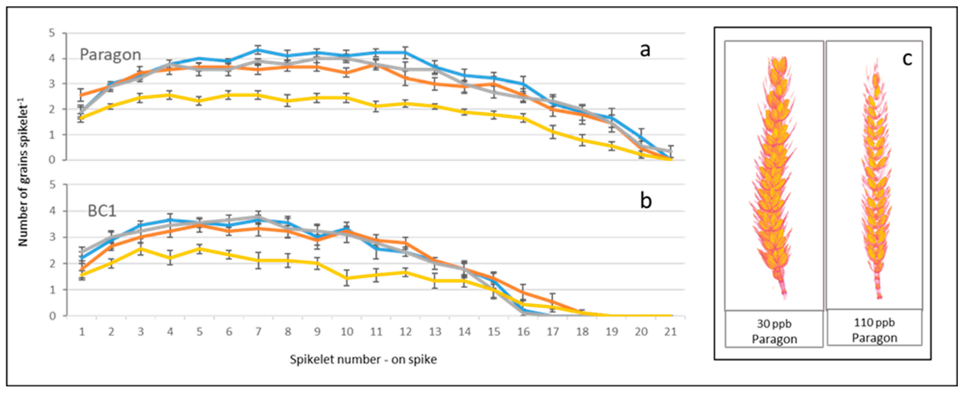 Preprints 114849 g003