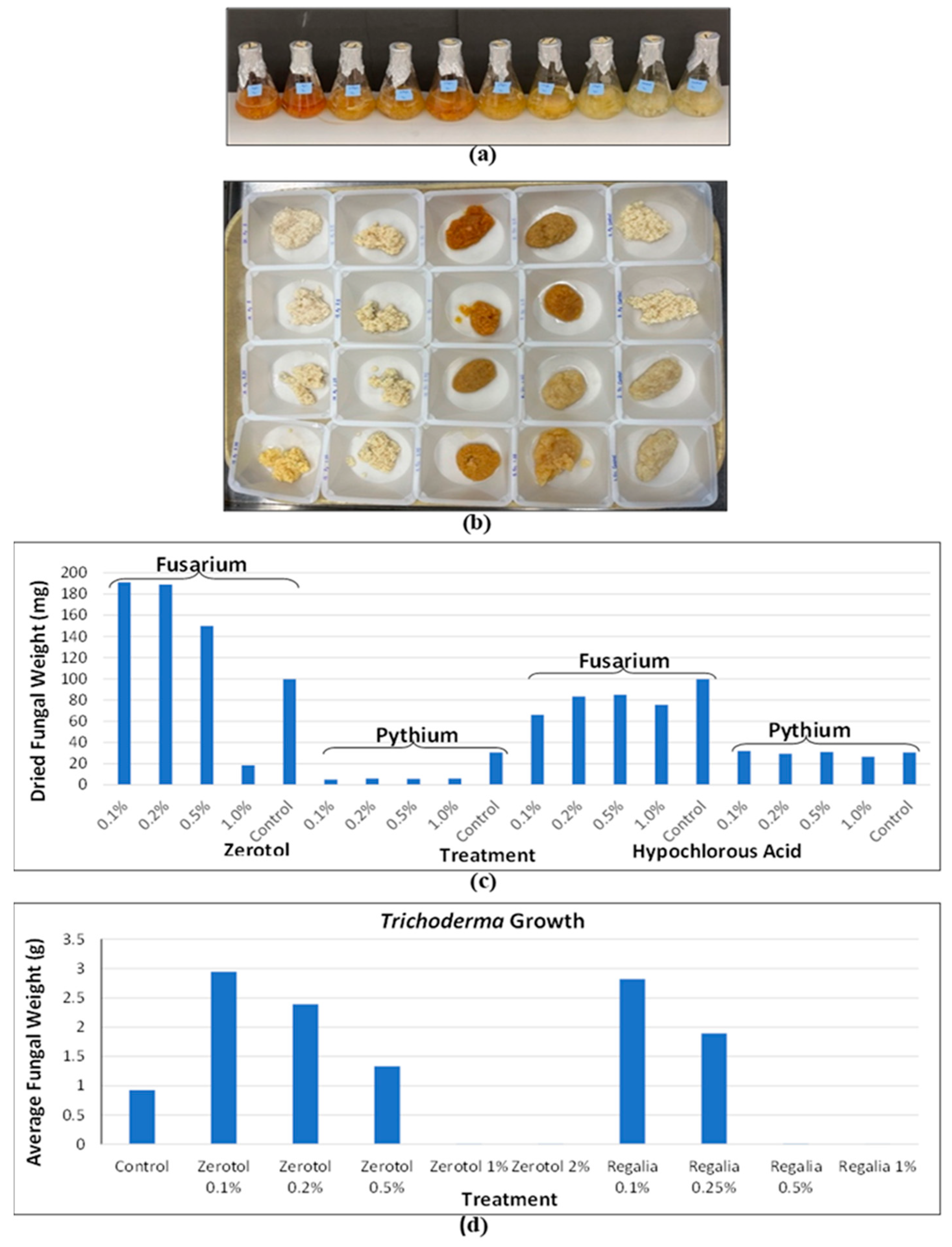 Preprints 98260 g007