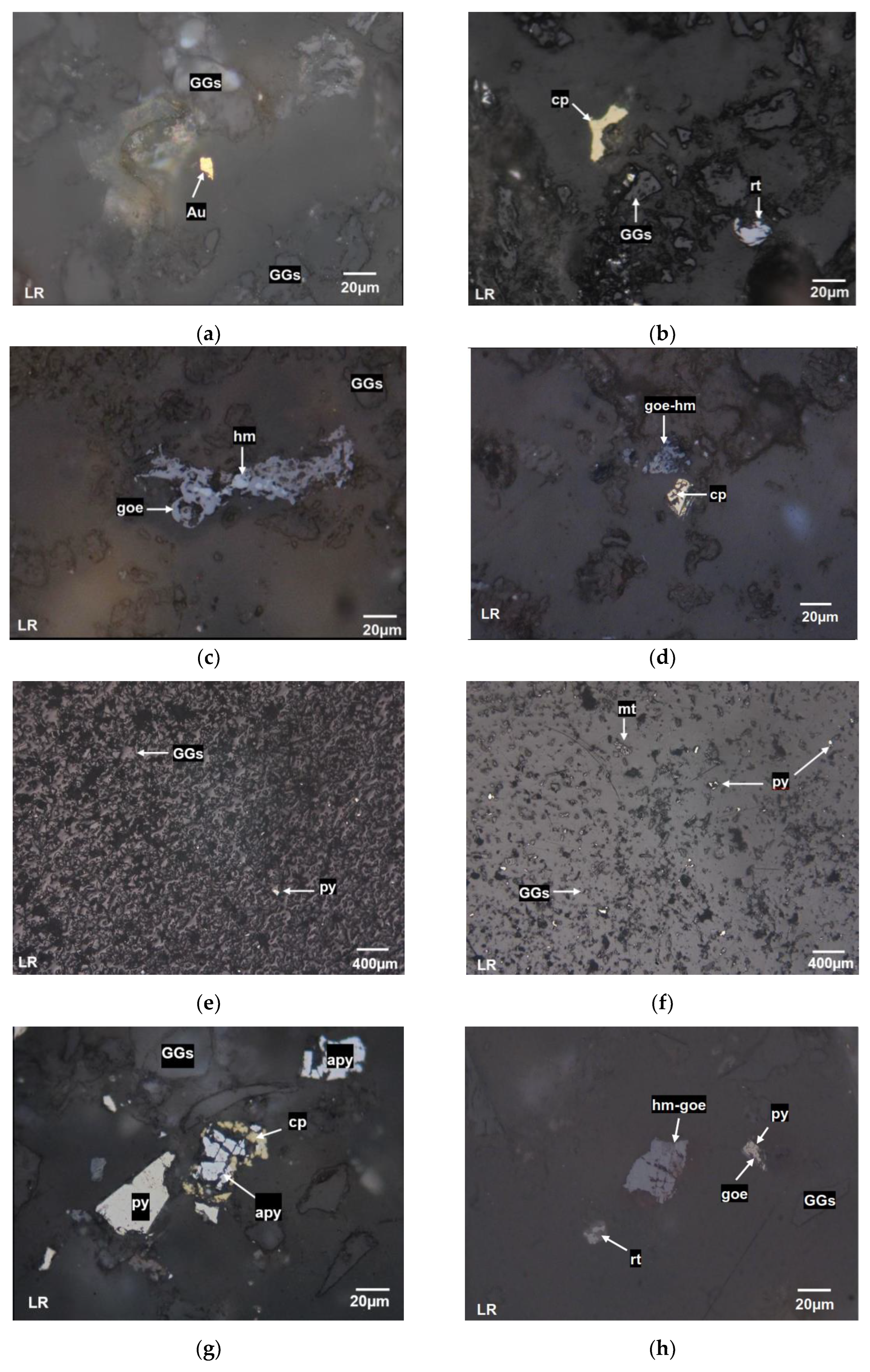 Preprints 120189 g003a