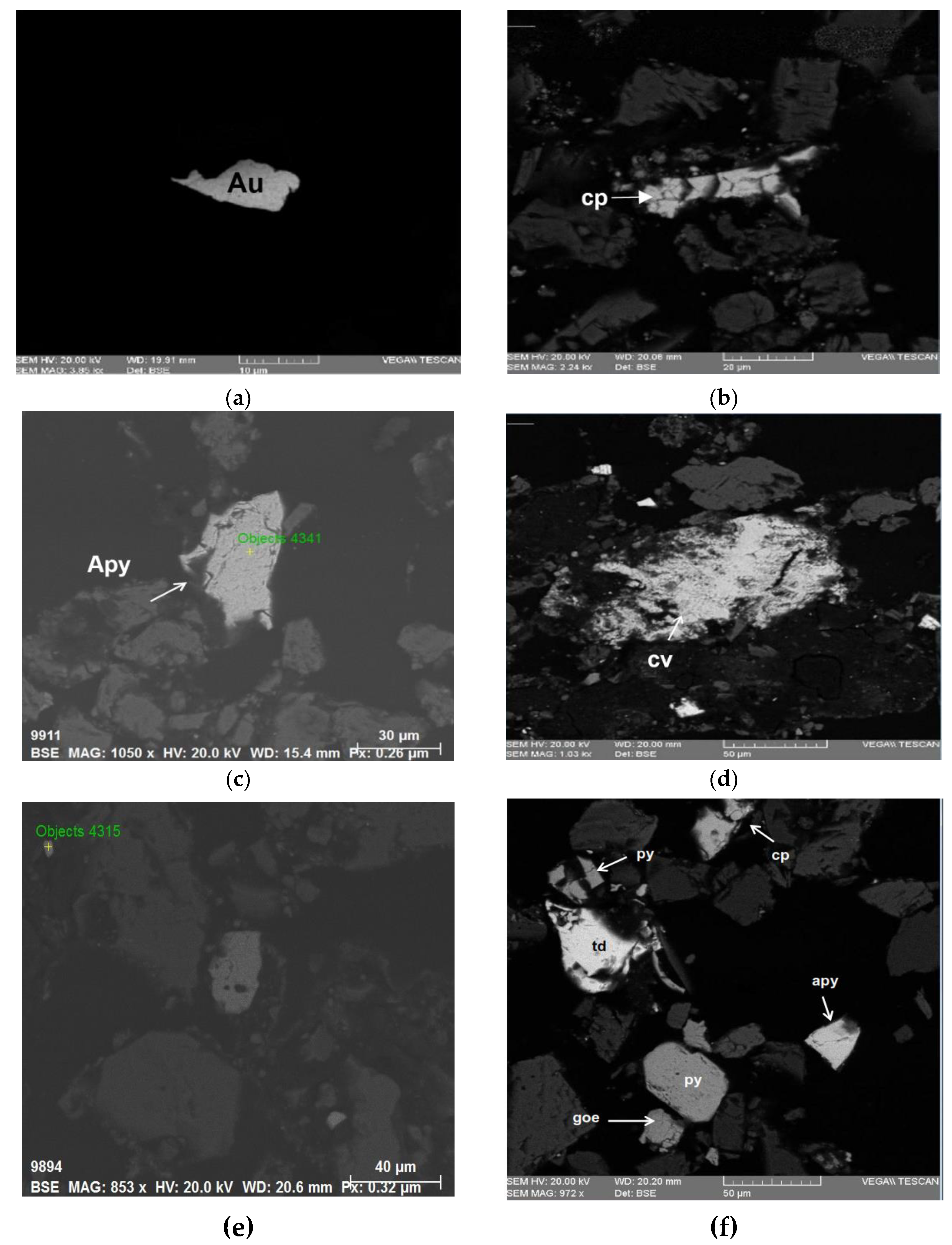 Preprints 120189 g004