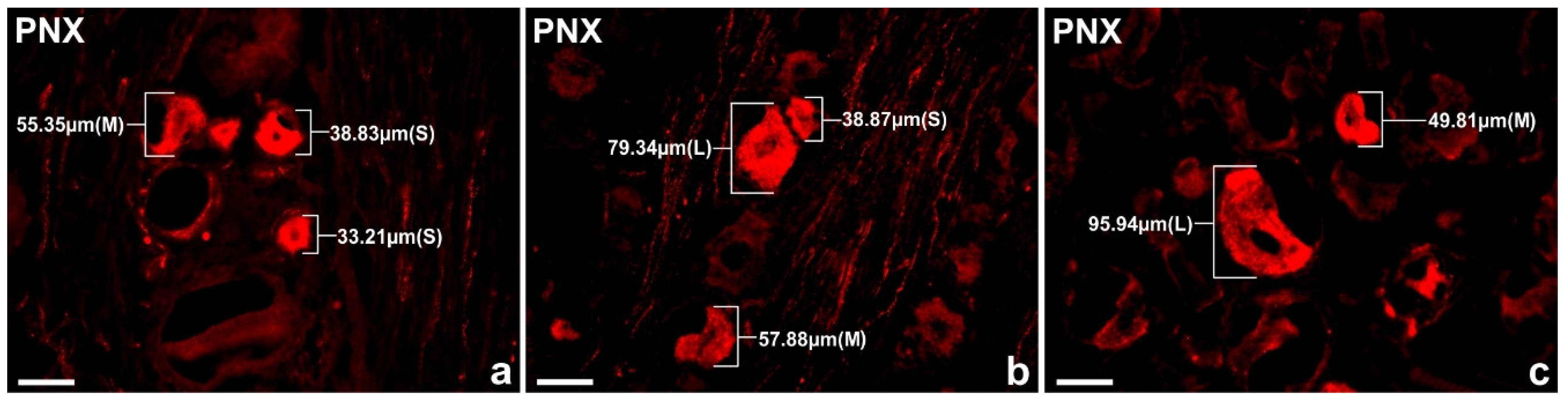 Preprints 78596 g005