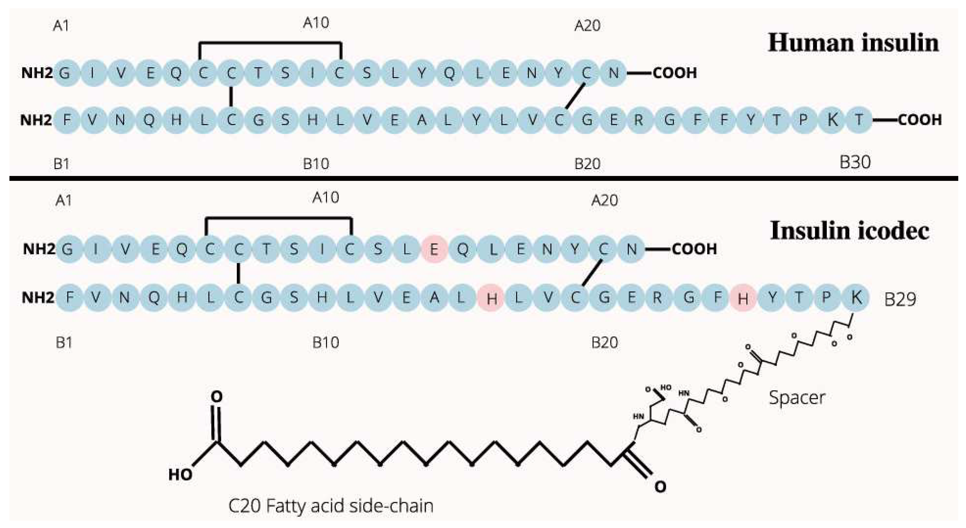 Preprints 90612 g001