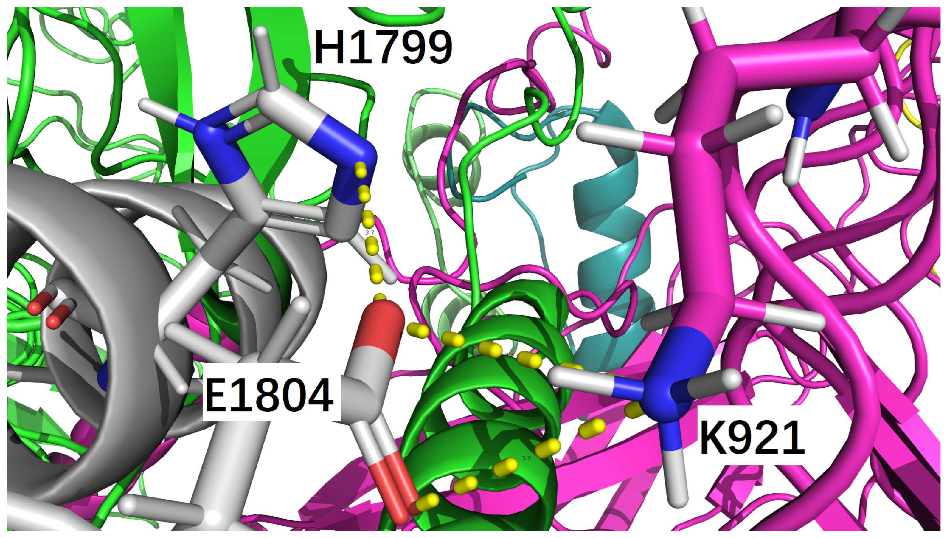 Preprints 90612 g003