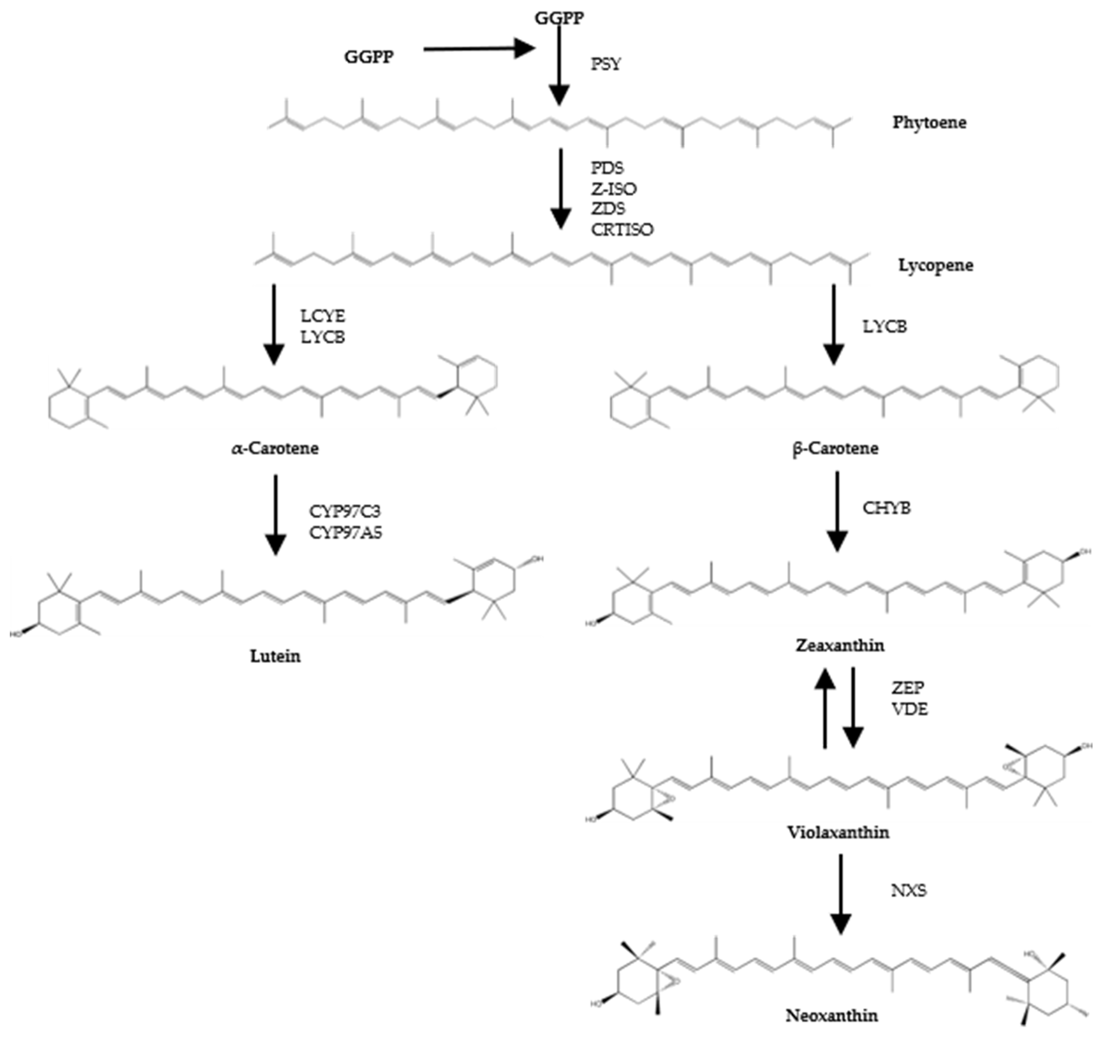 Preprints 107601 g001