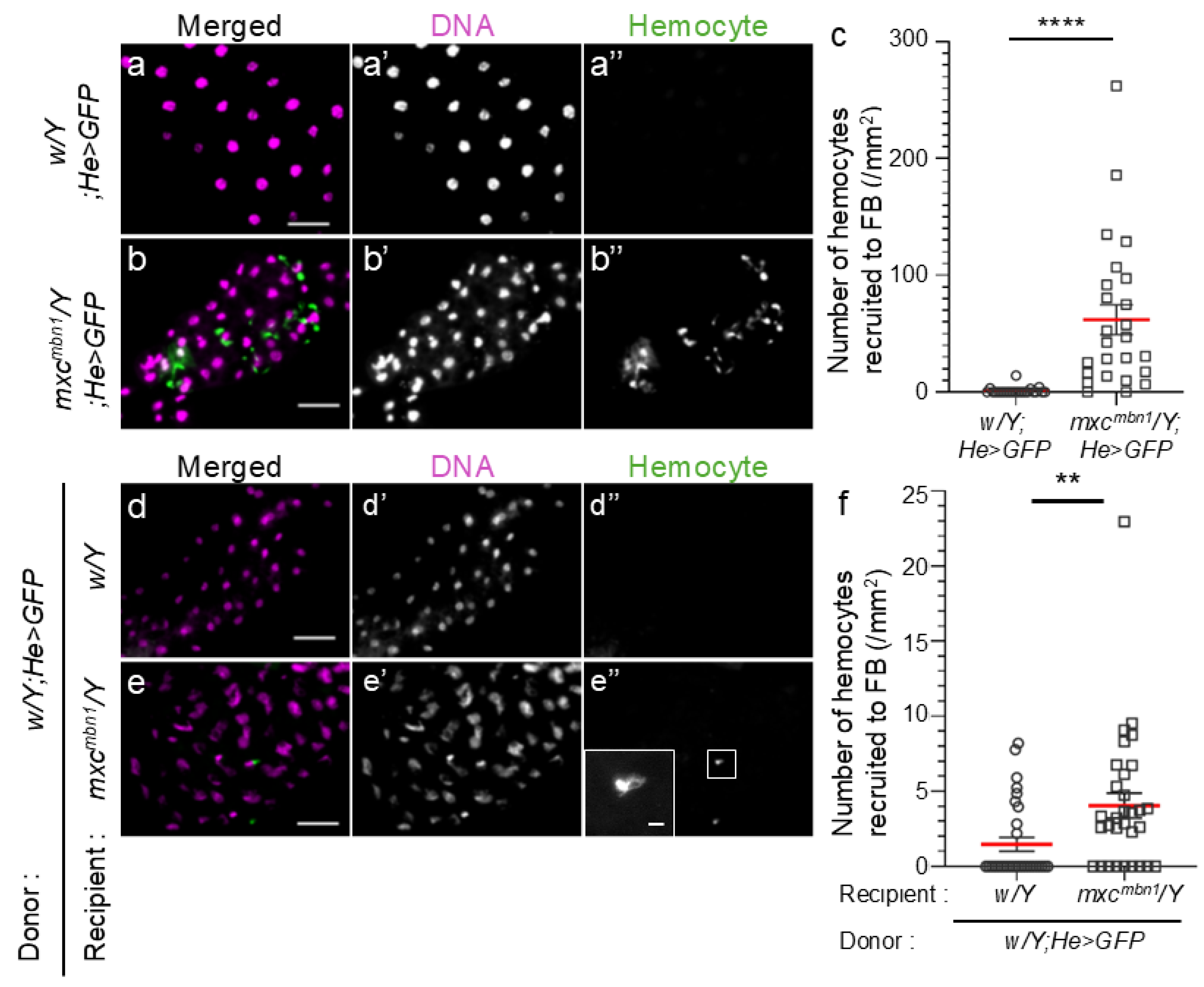 Preprints 120430 g001