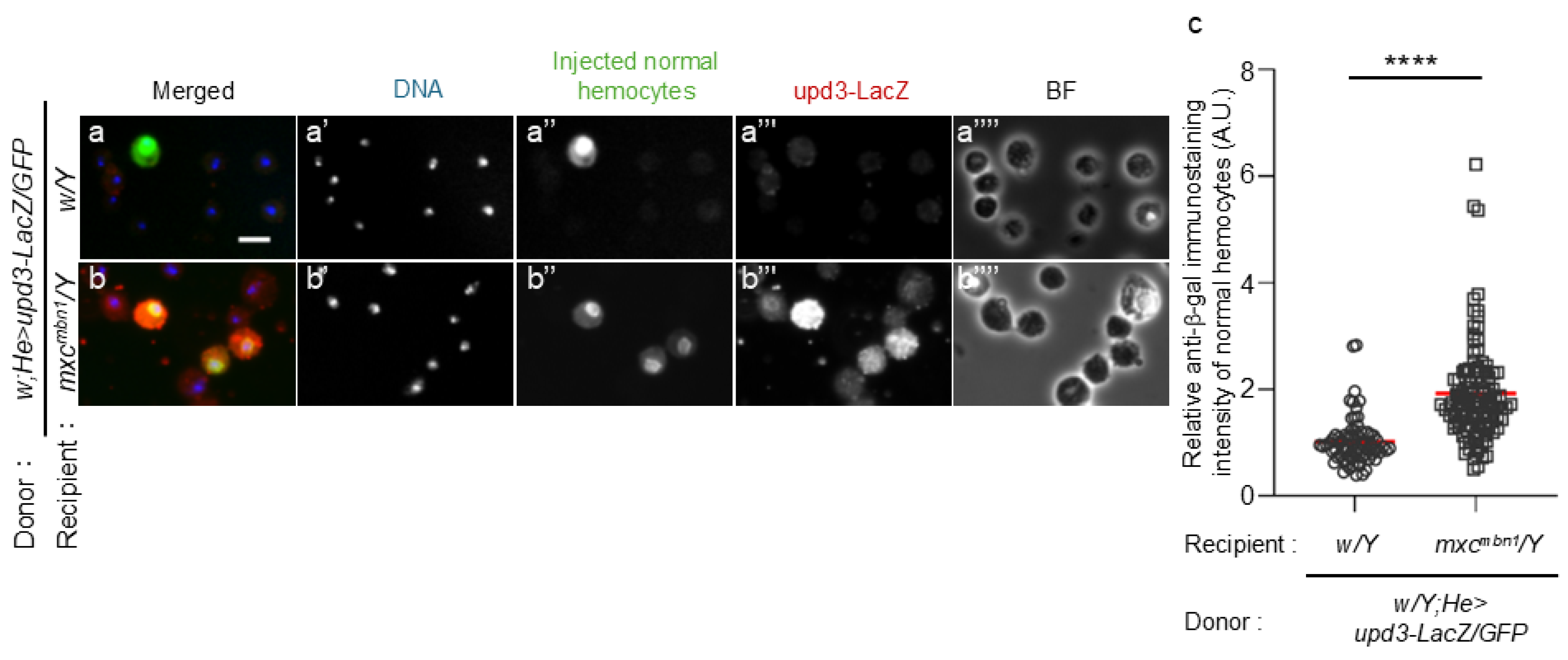 Preprints 120430 g002