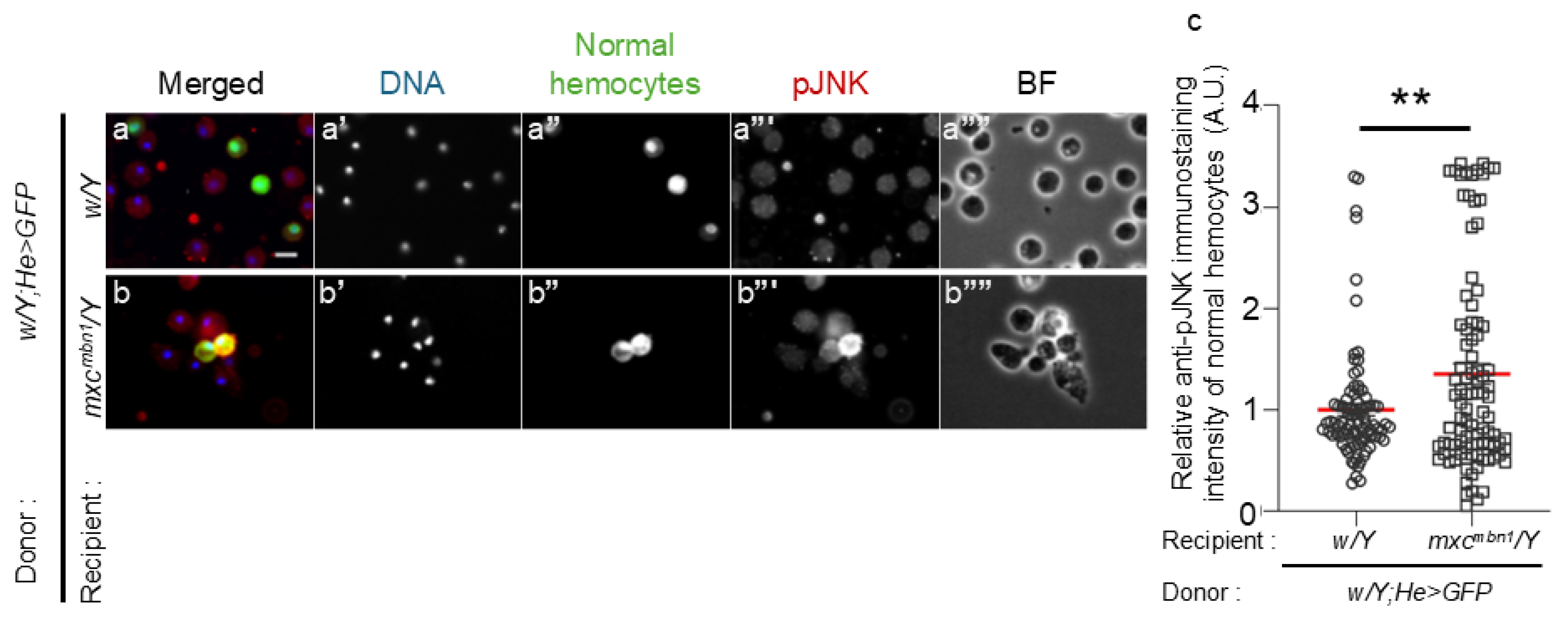 Preprints 120430 g004