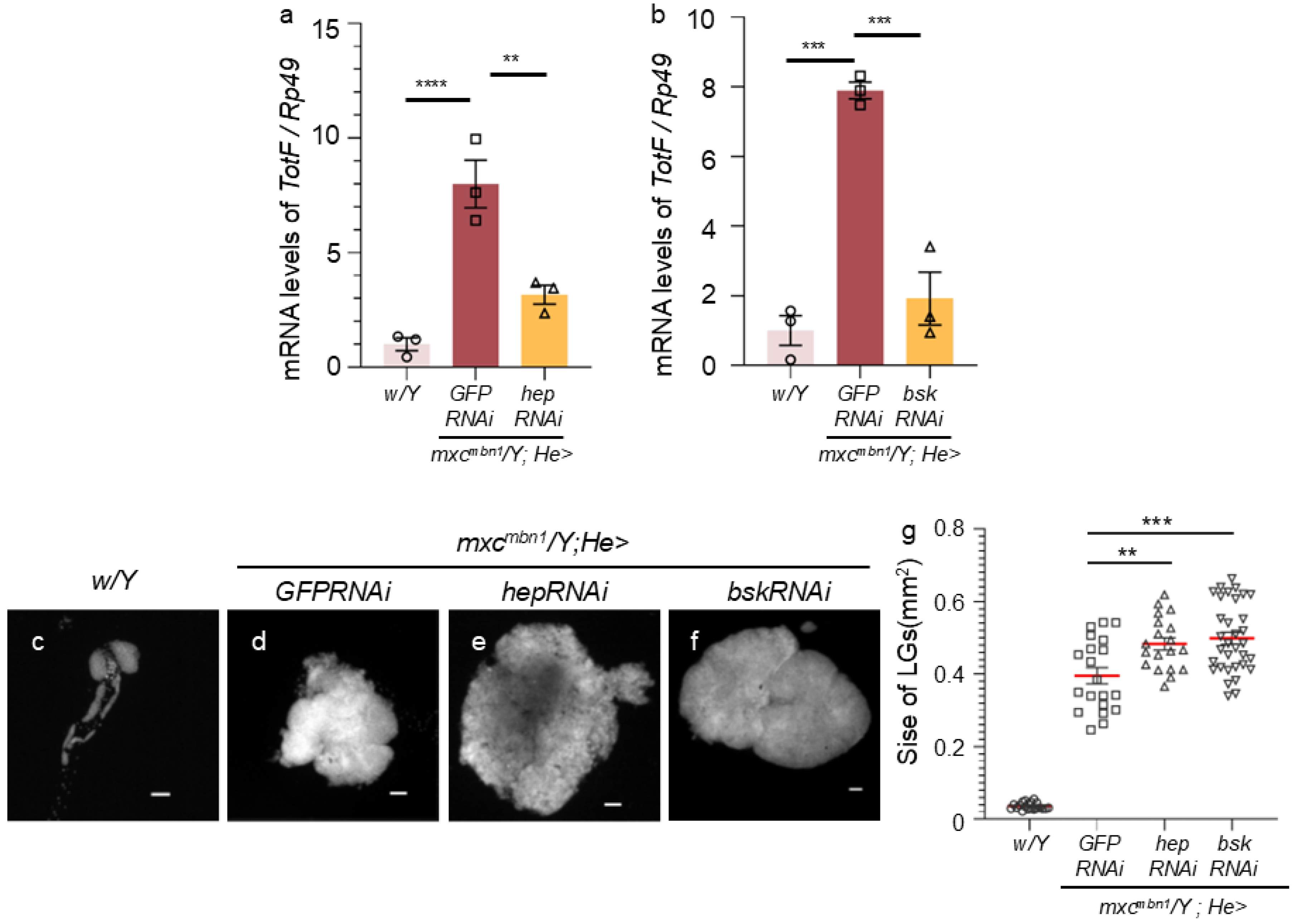 Preprints 120430 g005