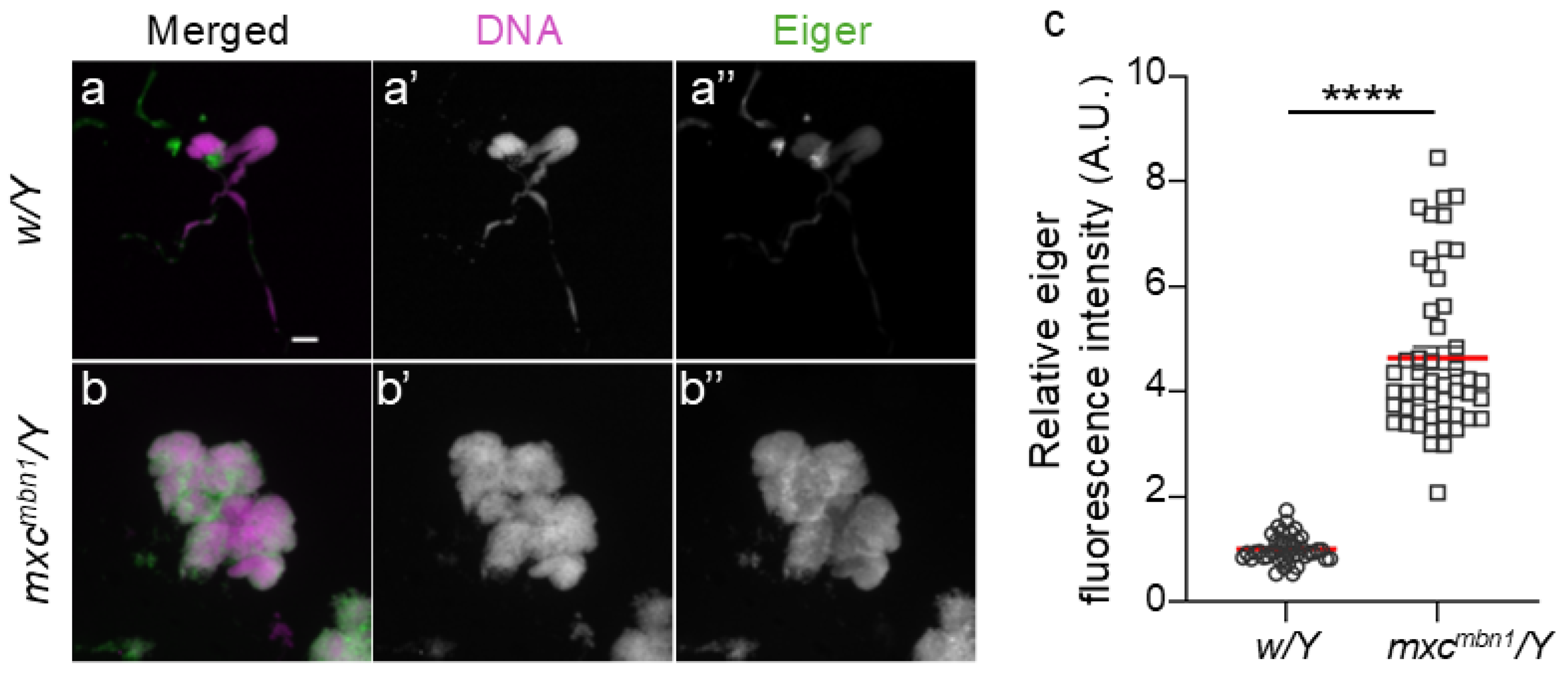 Preprints 120430 g006