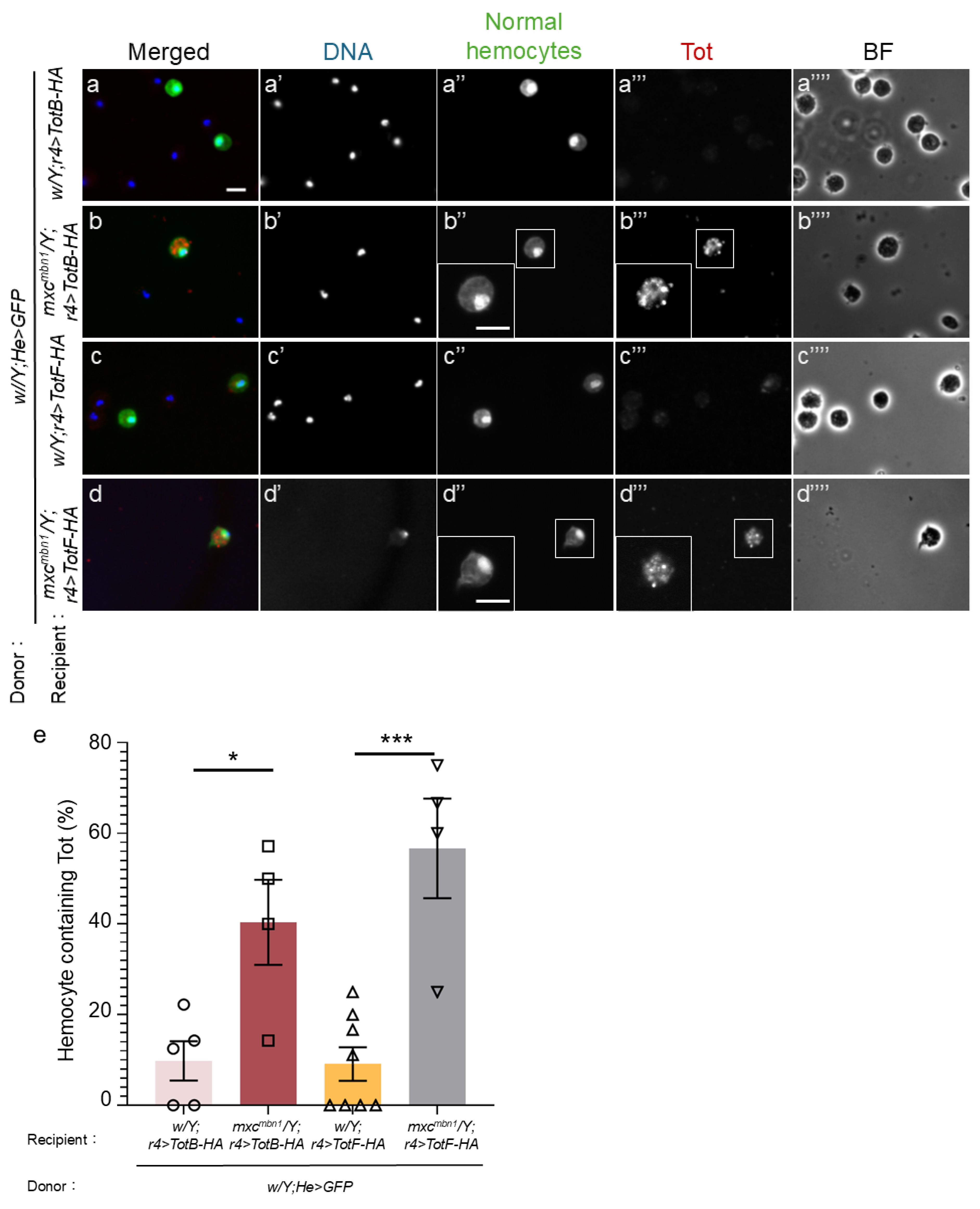 Preprints 120430 g008