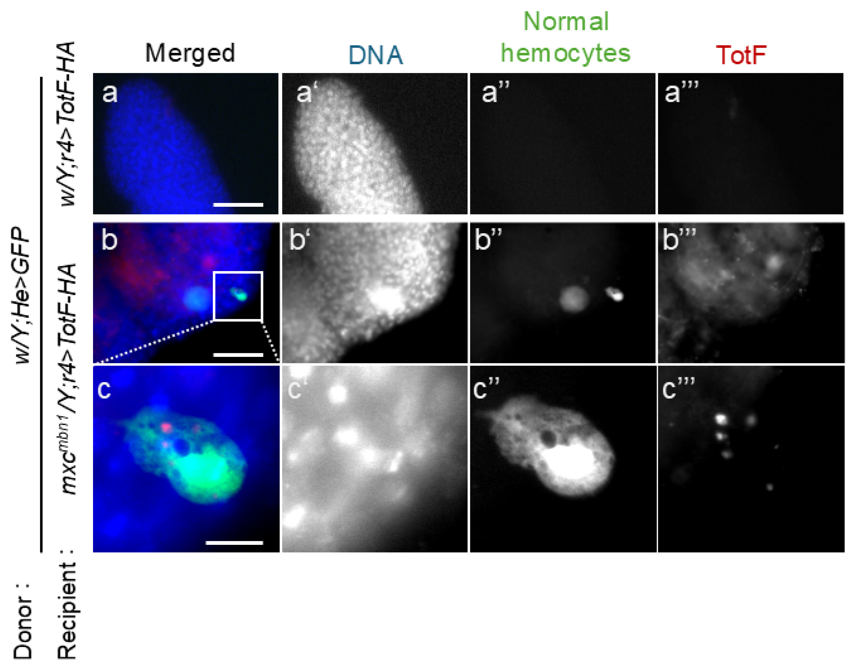 Preprints 120430 g009