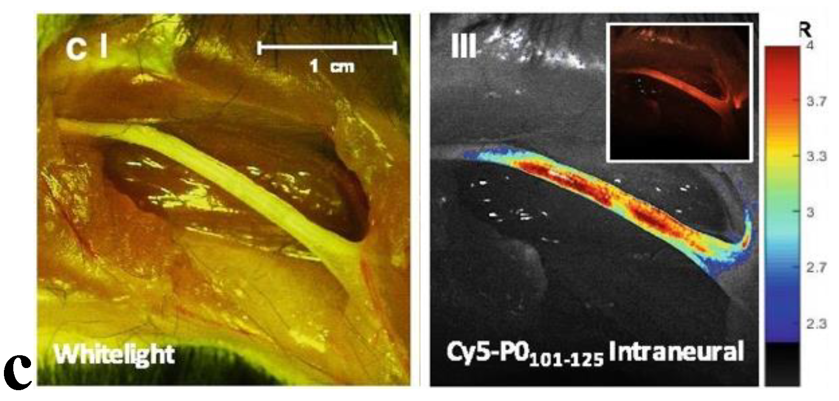 Preprints 103070 g004b