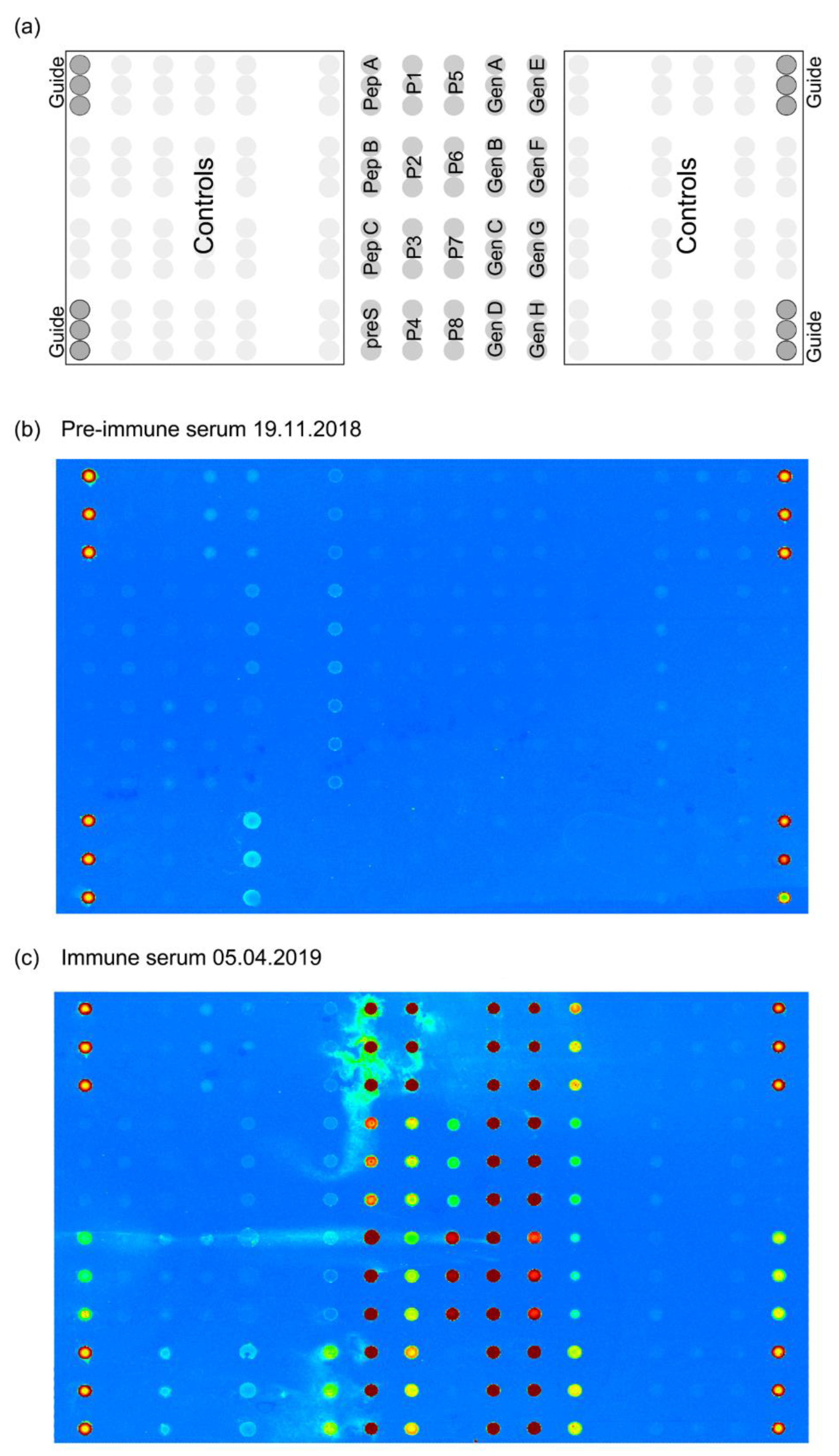 Preprints 113139 g003