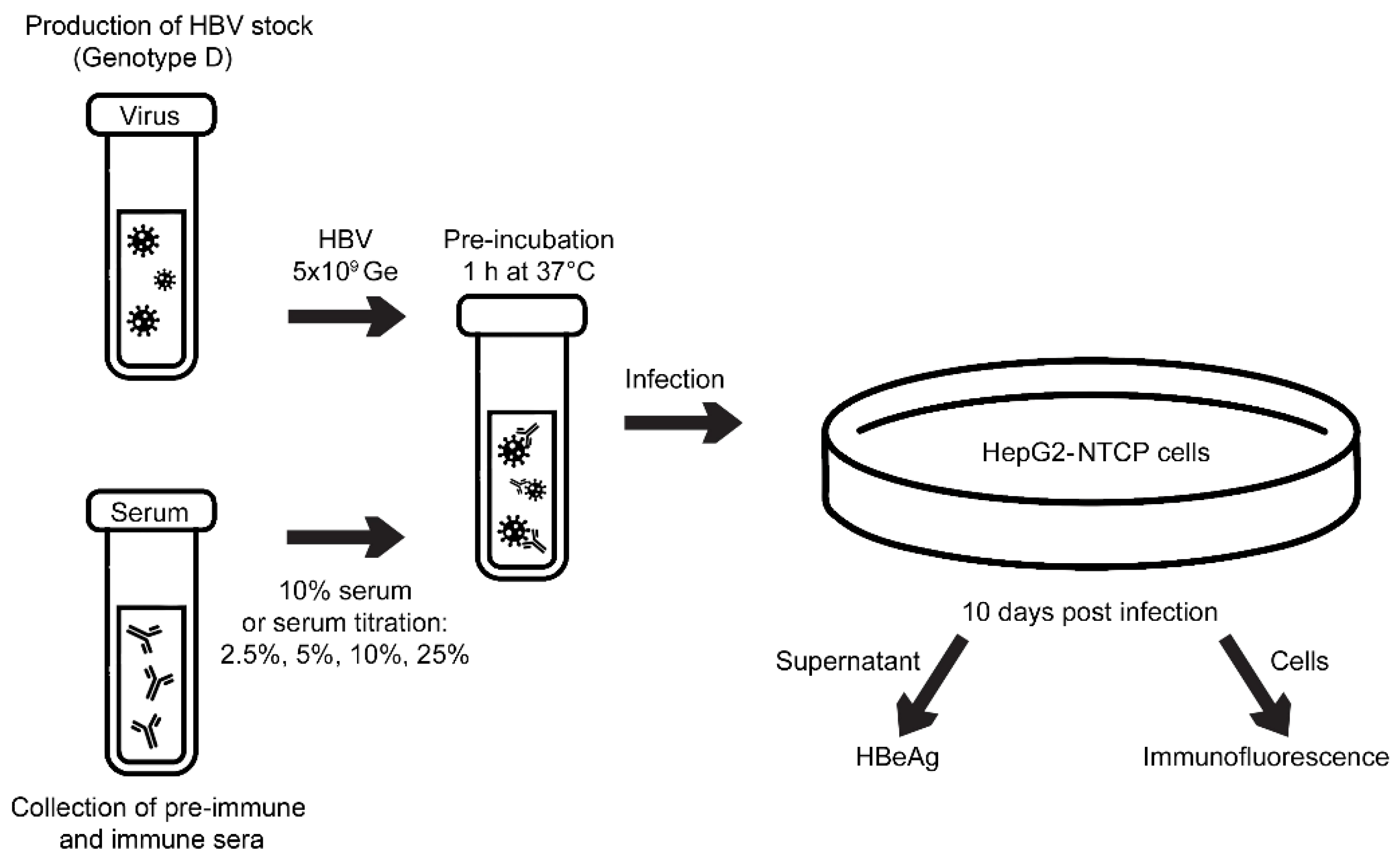 Preprints 113139 g004