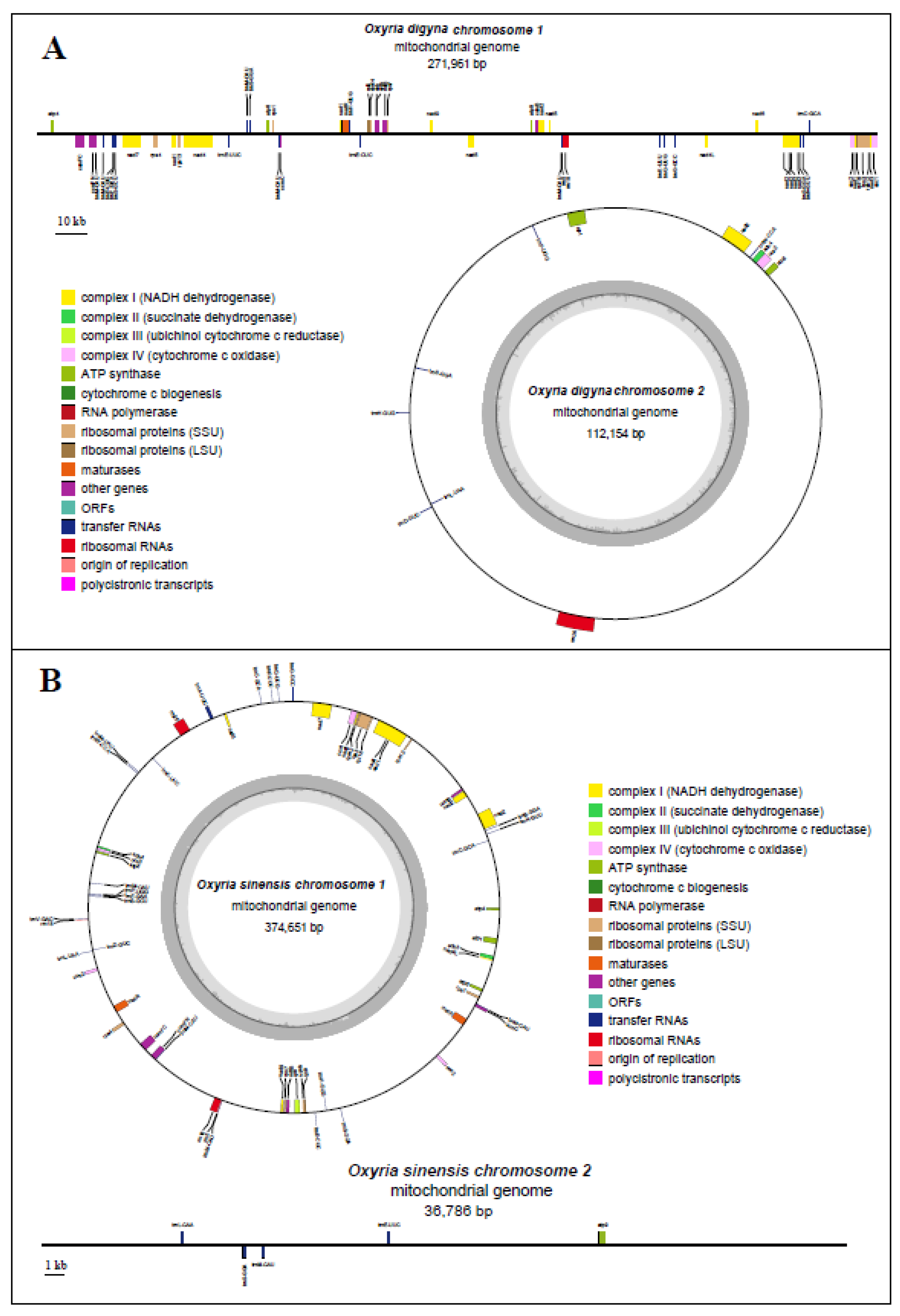 Preprints 121126 g001