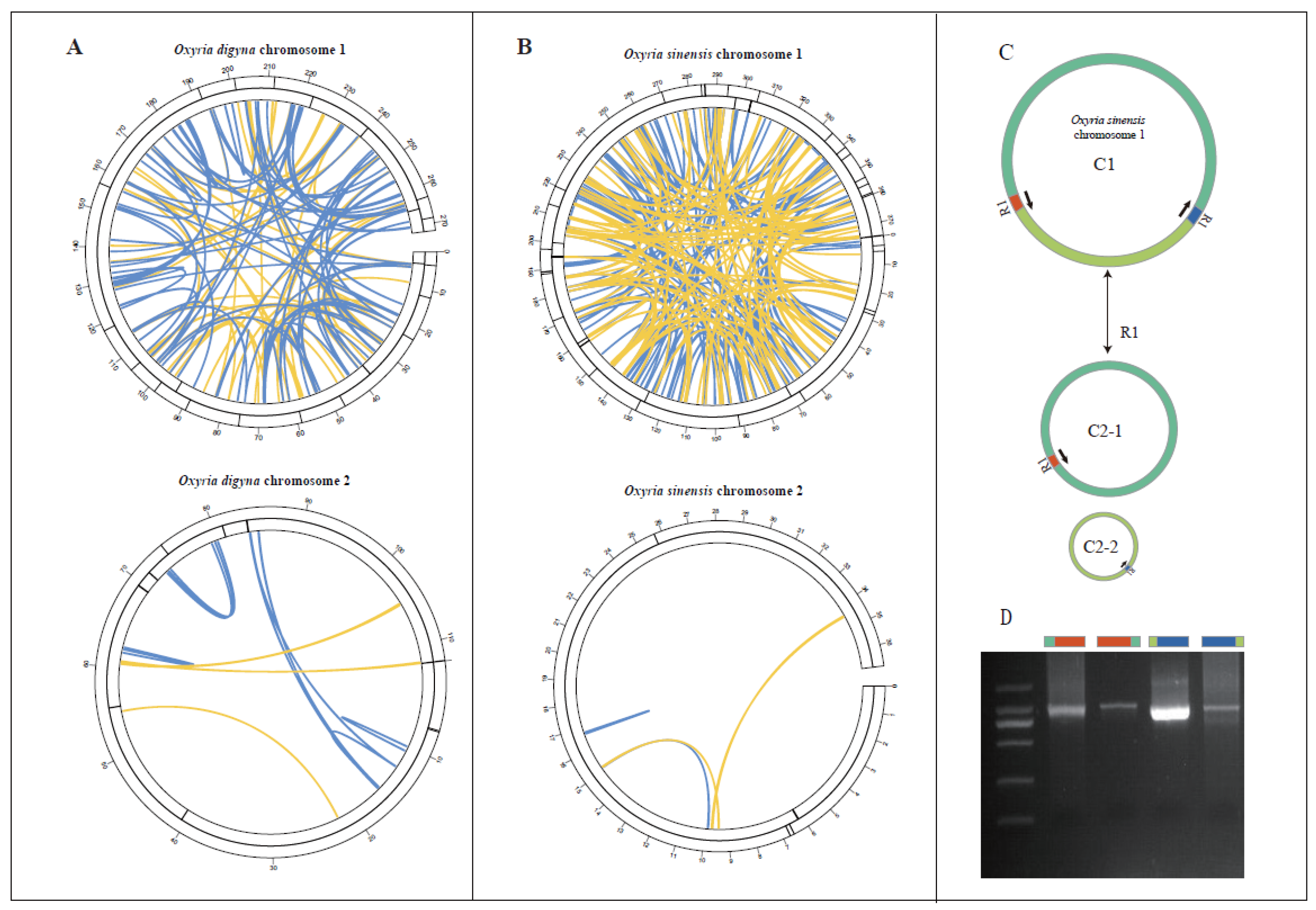 Preprints 121126 g002