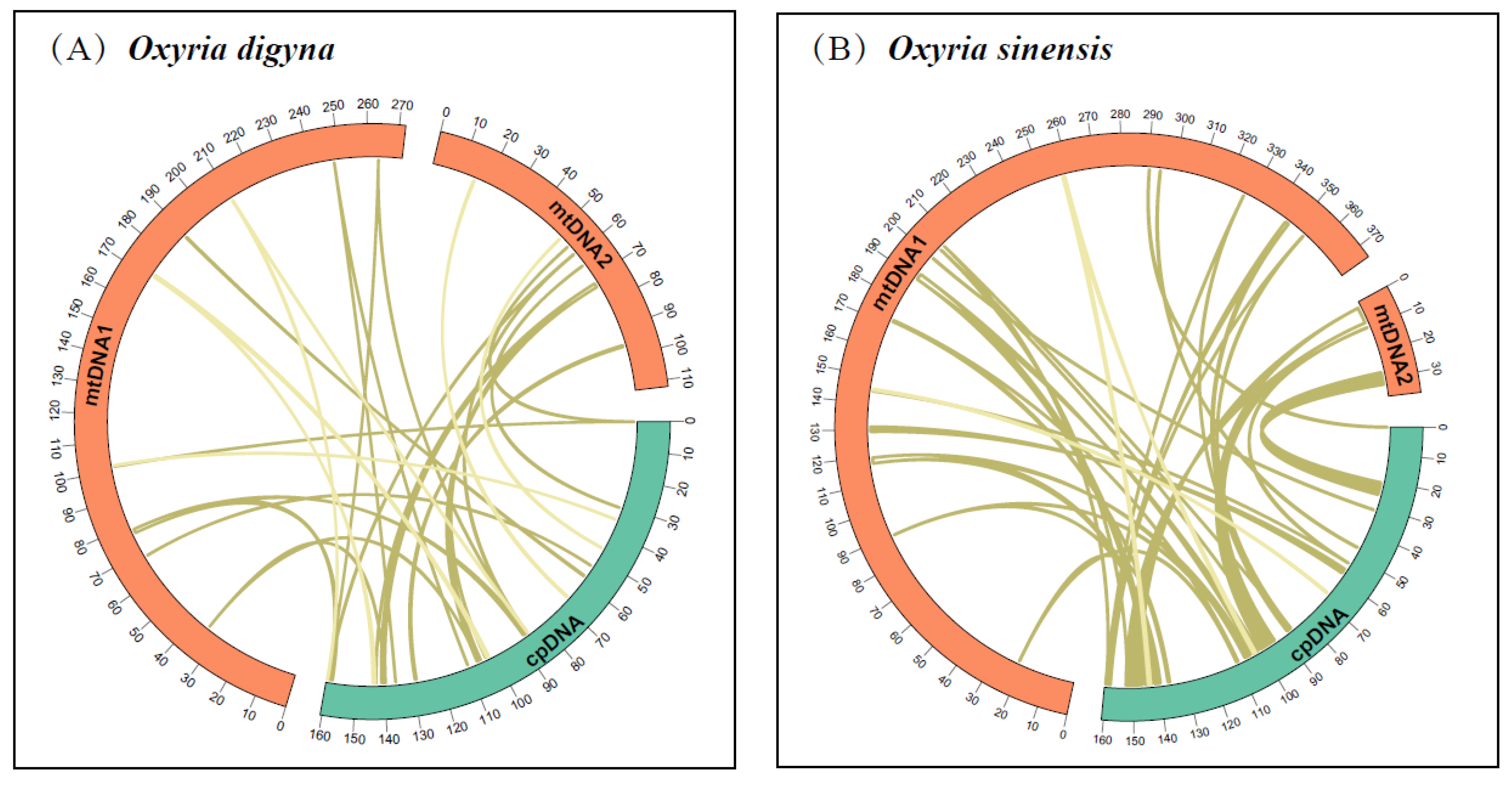 Preprints 121126 g004