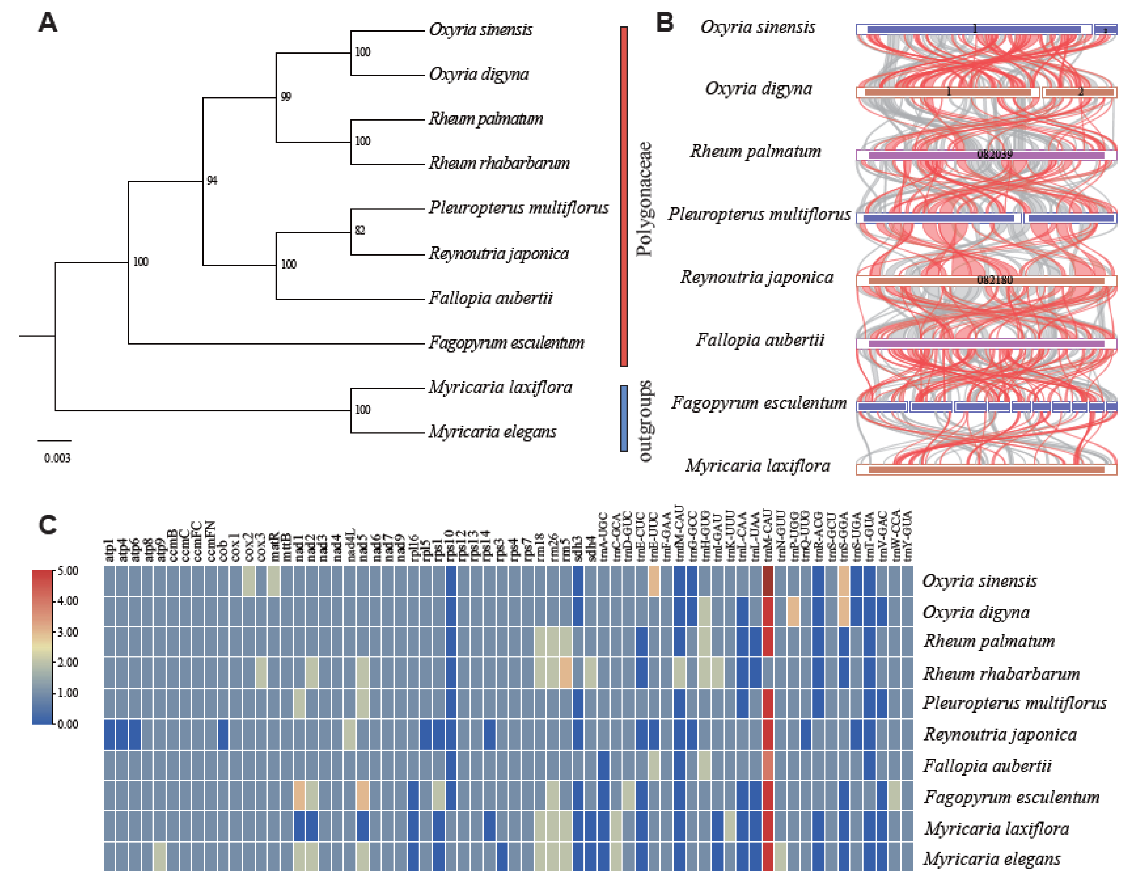 Preprints 121126 g005