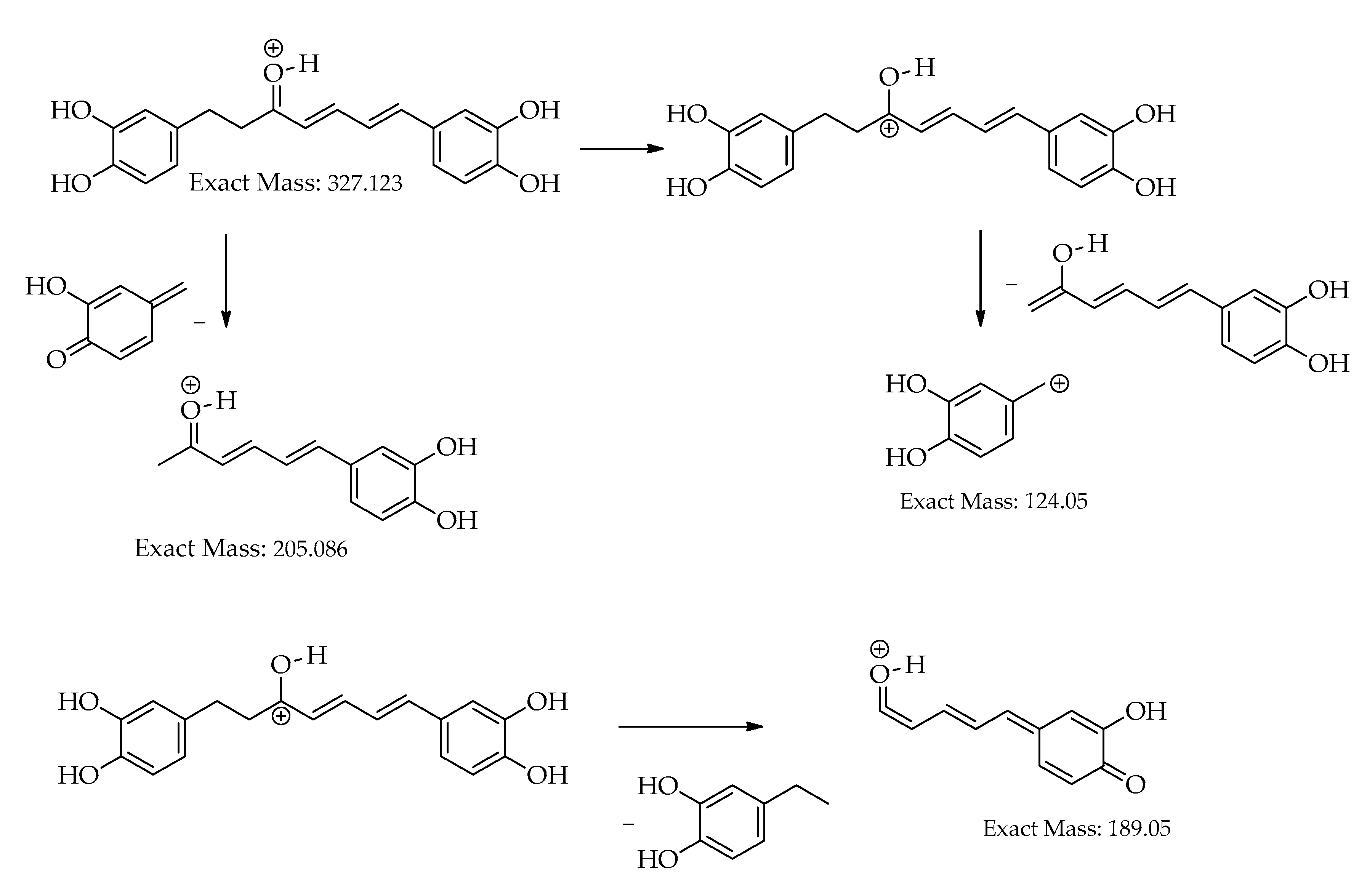 Preprints 77744 g010