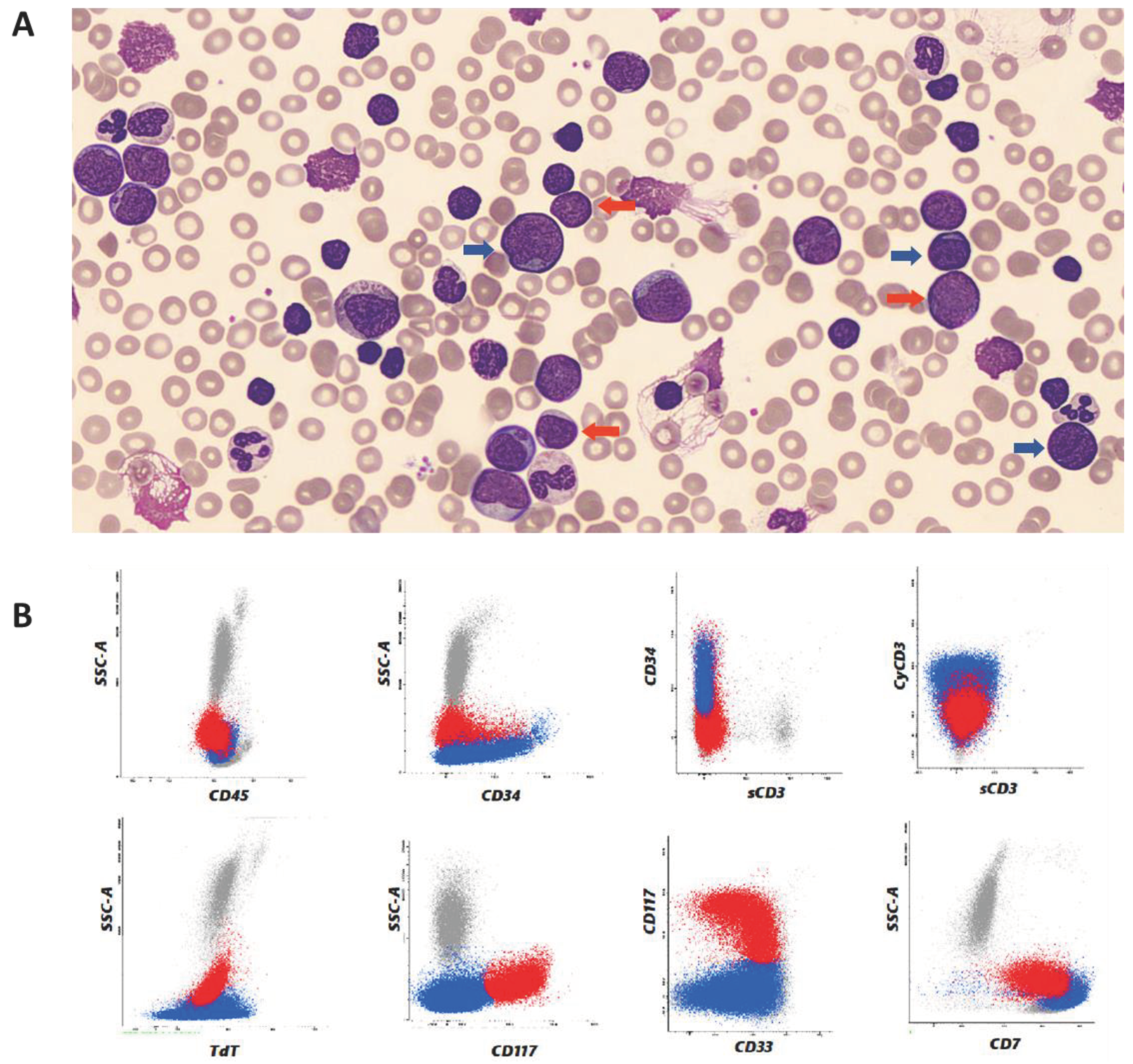 Preprints 102258 g001