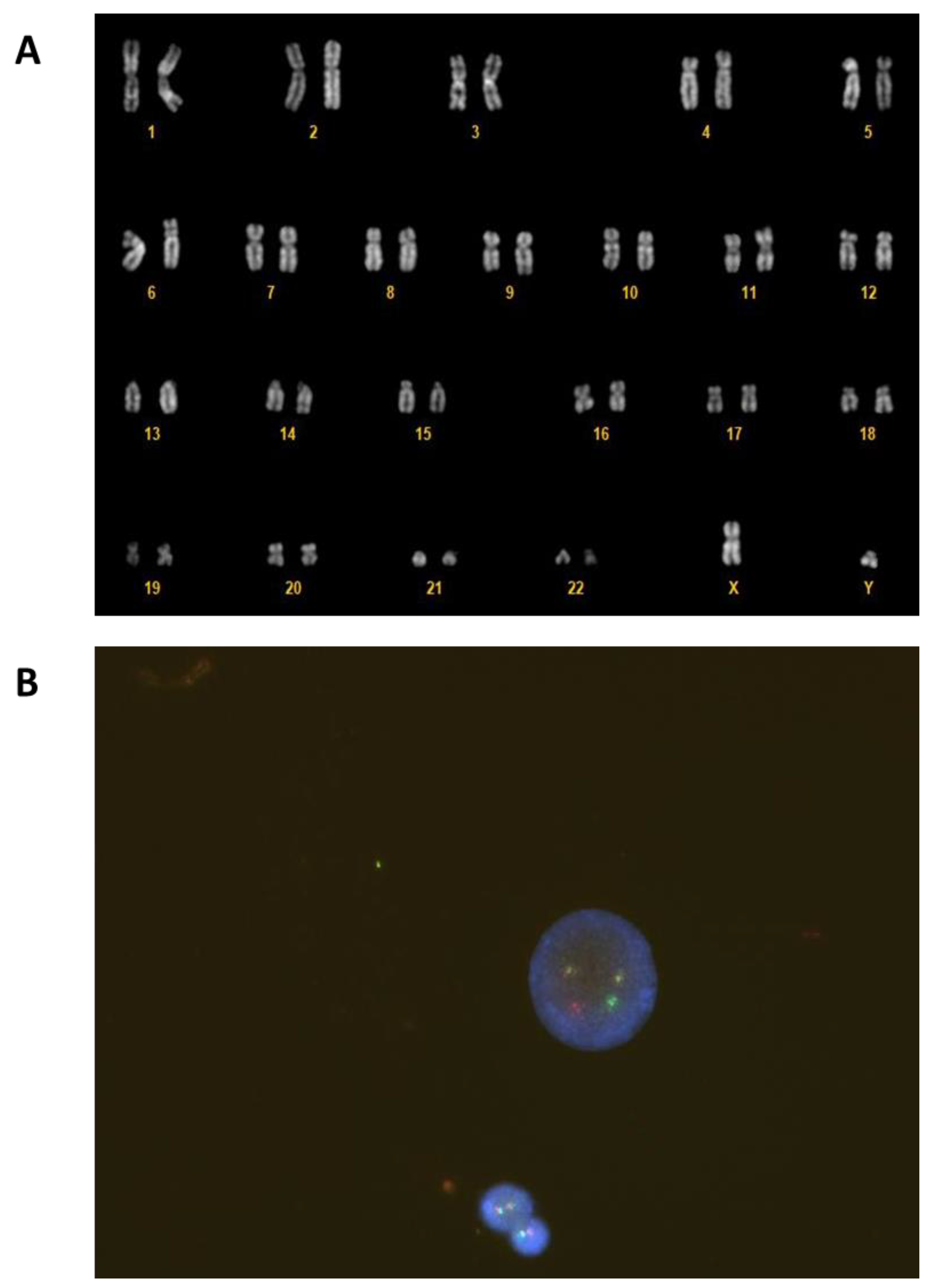 Preprints 102258 g002