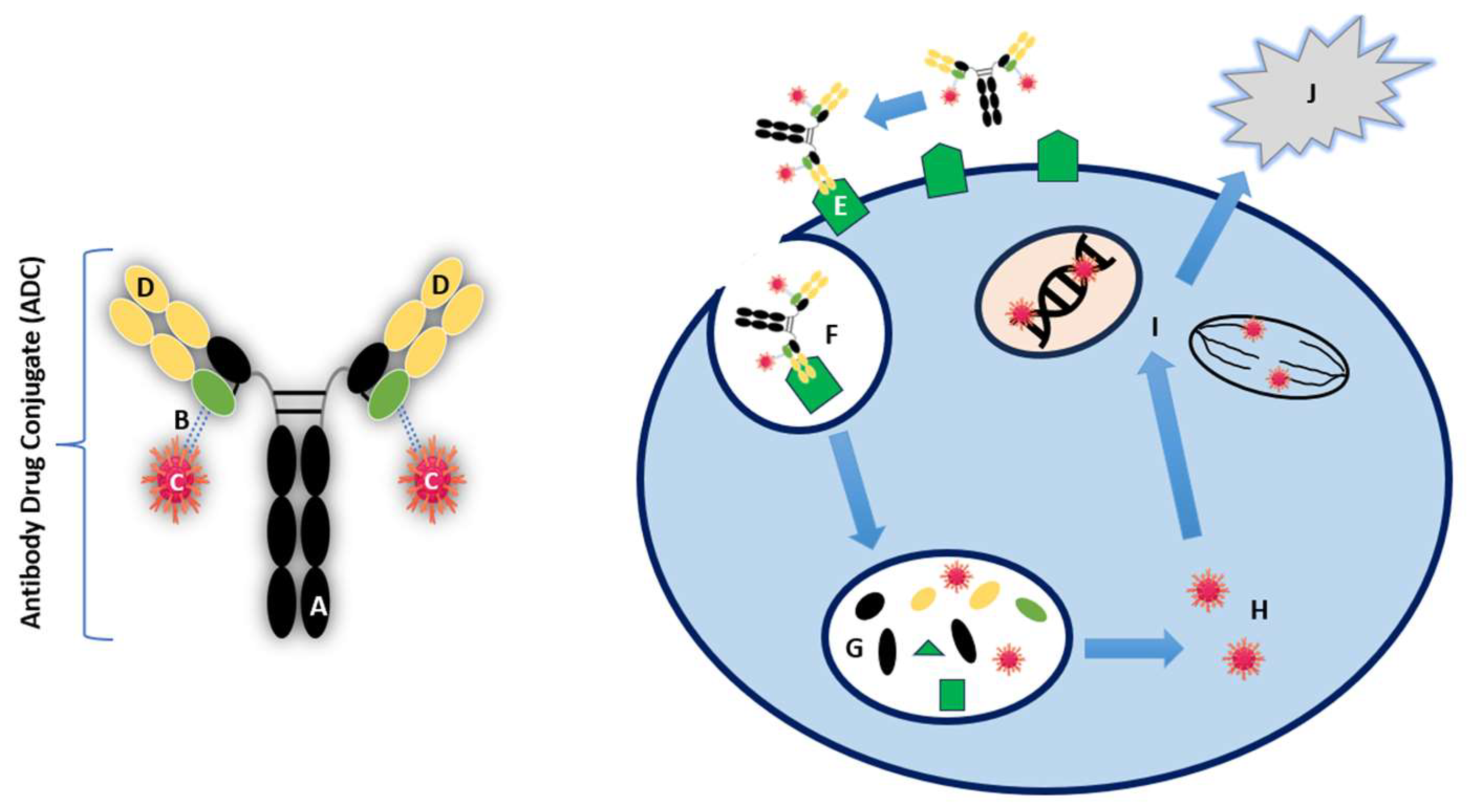 Preprints 119252 g002