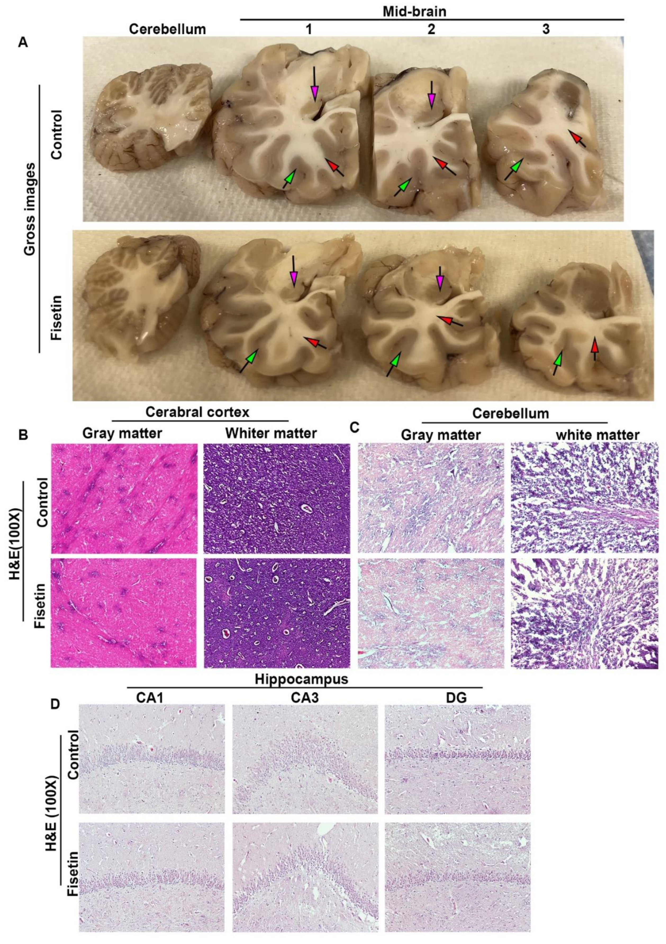 Preprints 77729 g001