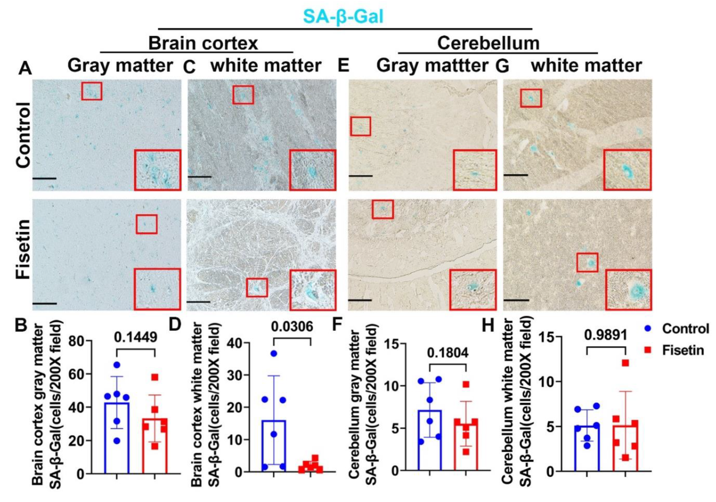 Preprints 77729 g002