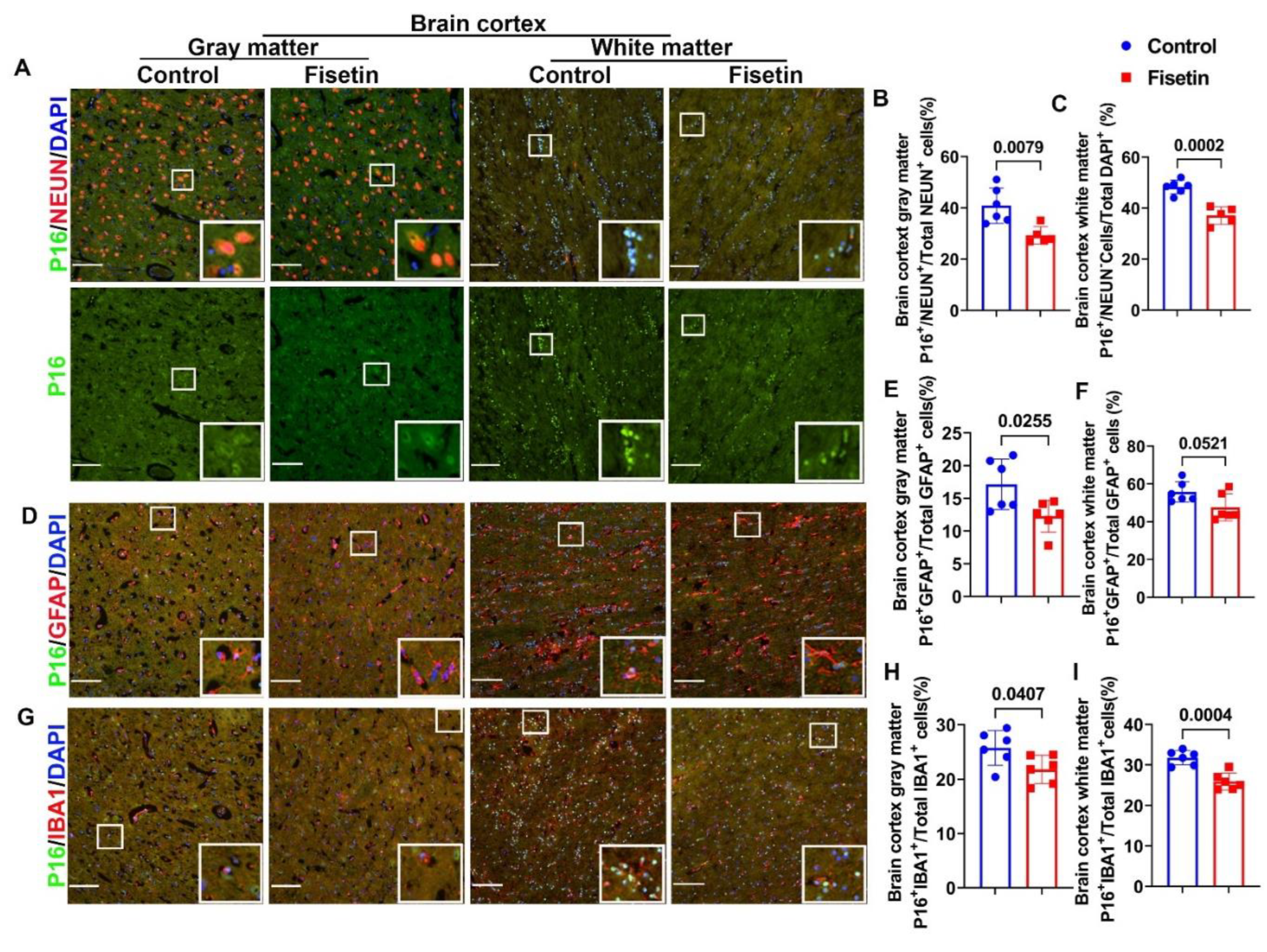 Preprints 77729 g003