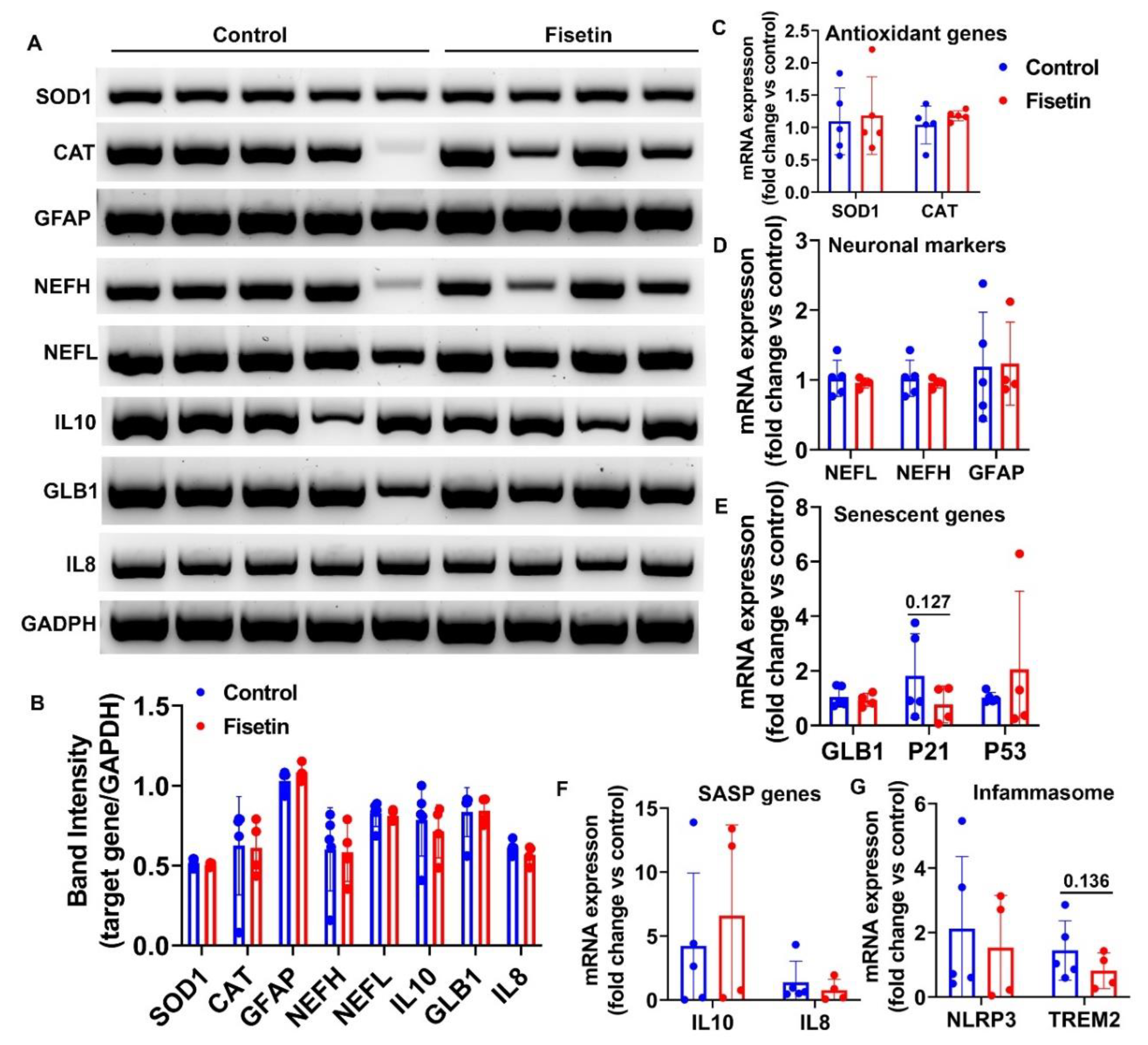 Preprints 77729 g005