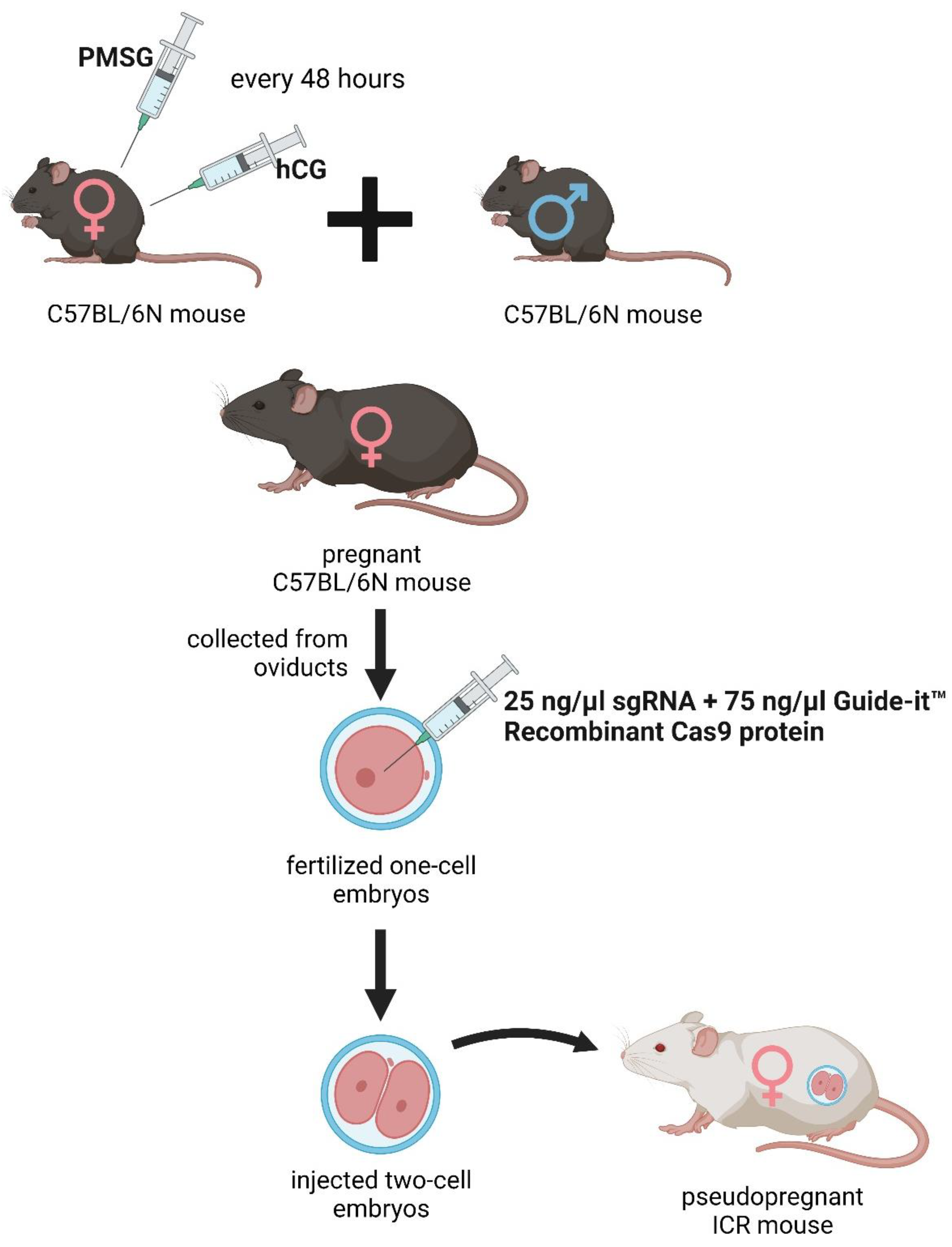 Preprints 105557 g002