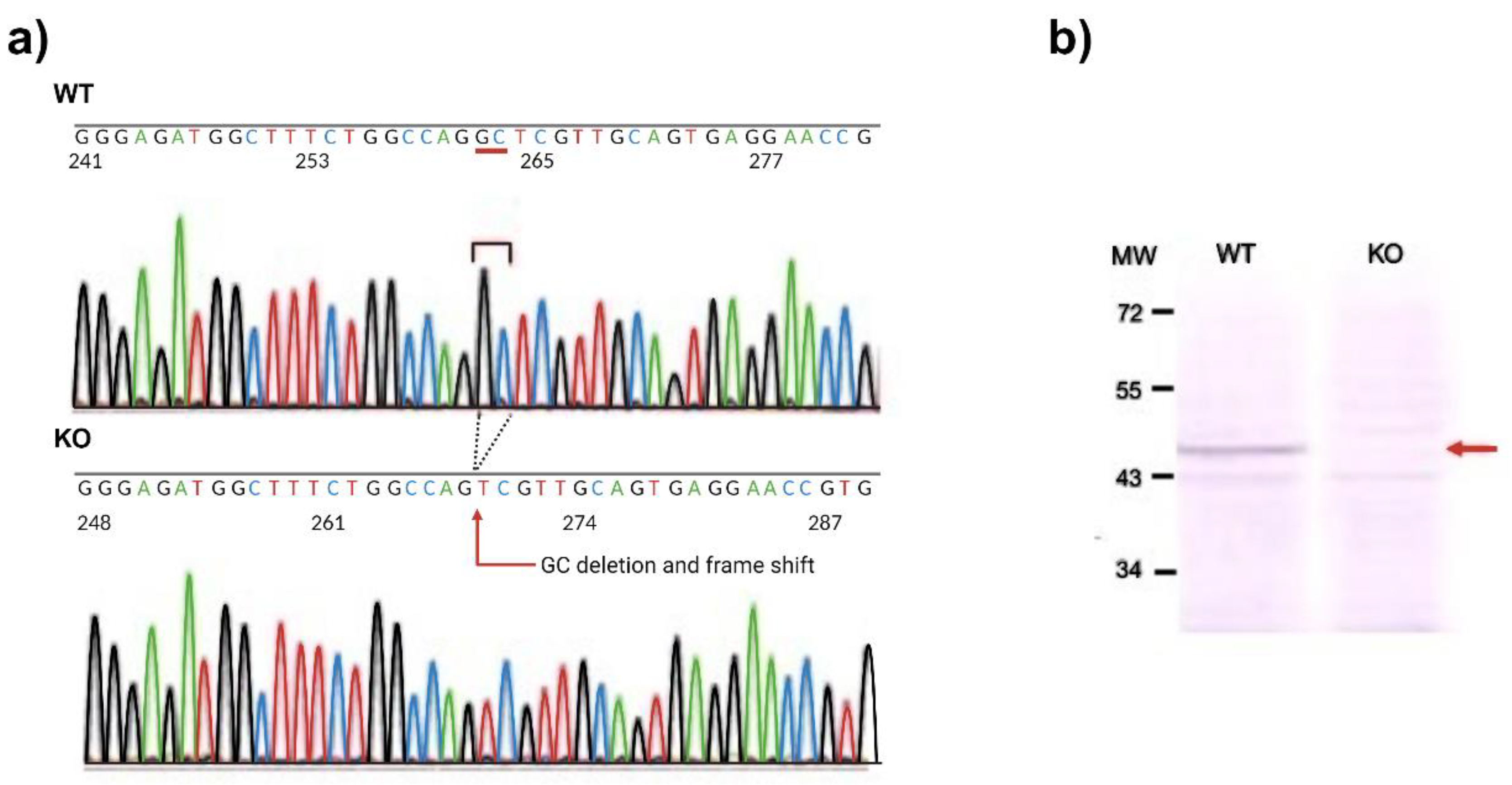 Preprints 105557 g003