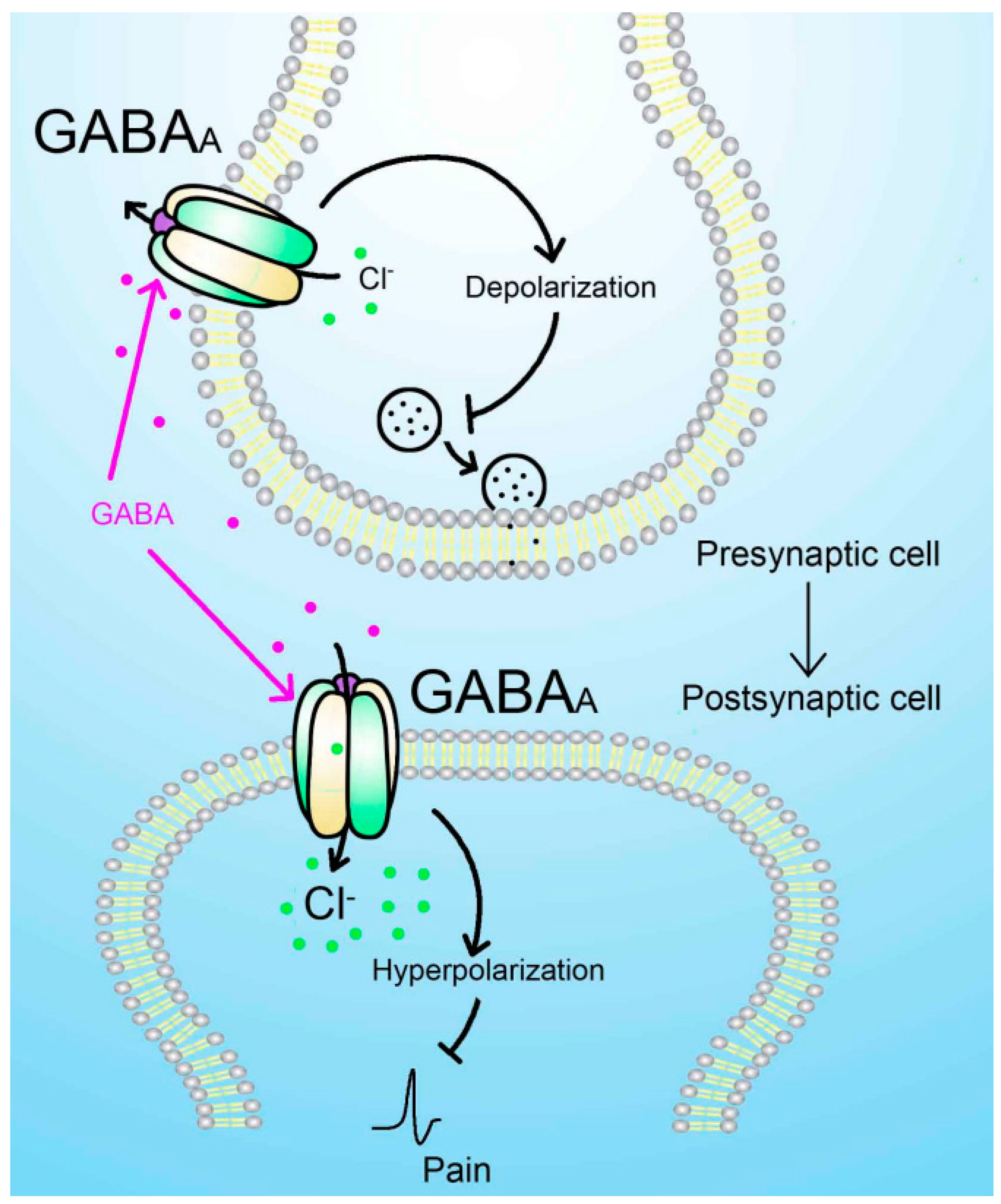 Preprints 74053 g001