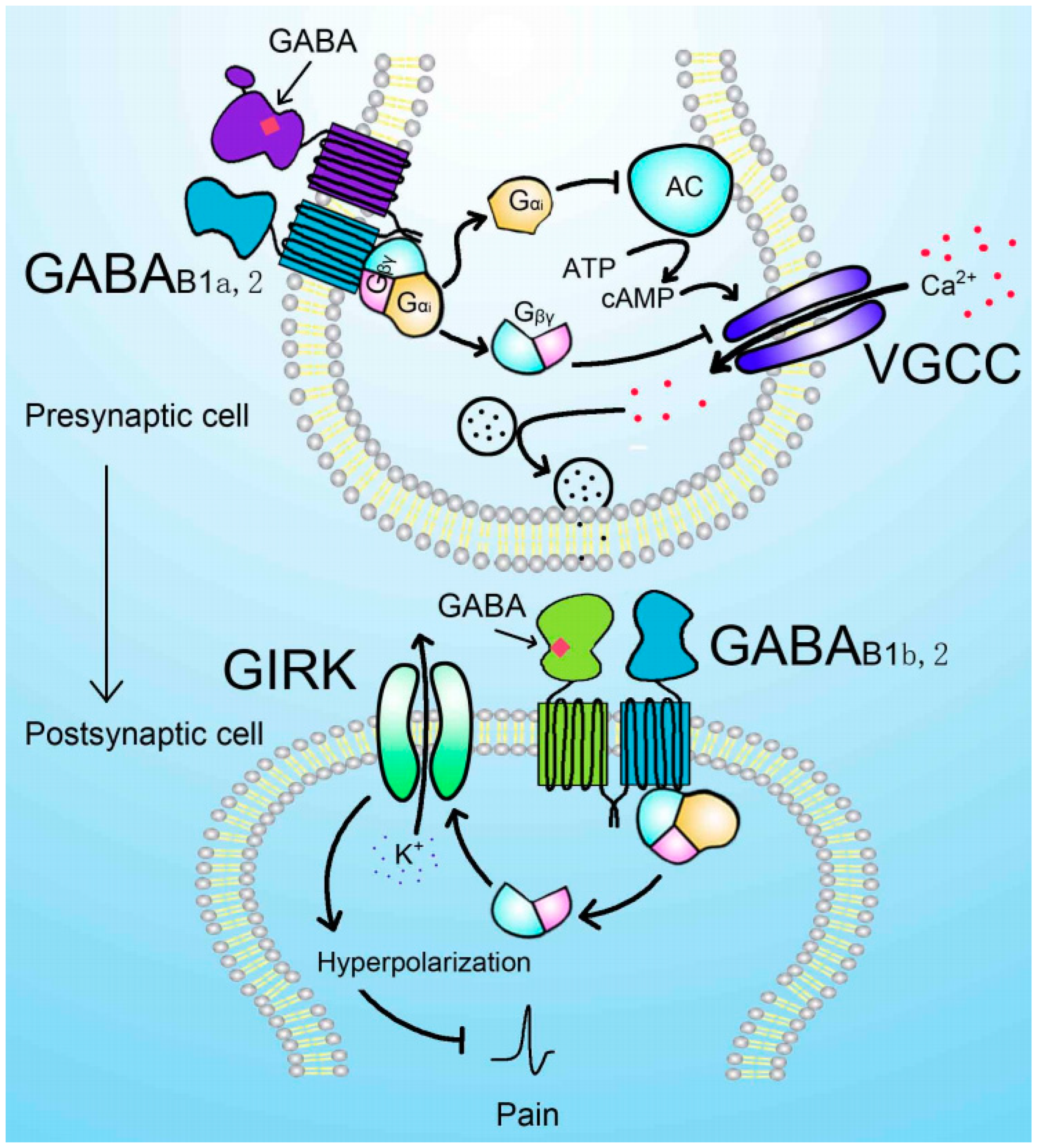 Preprints 74053 g002