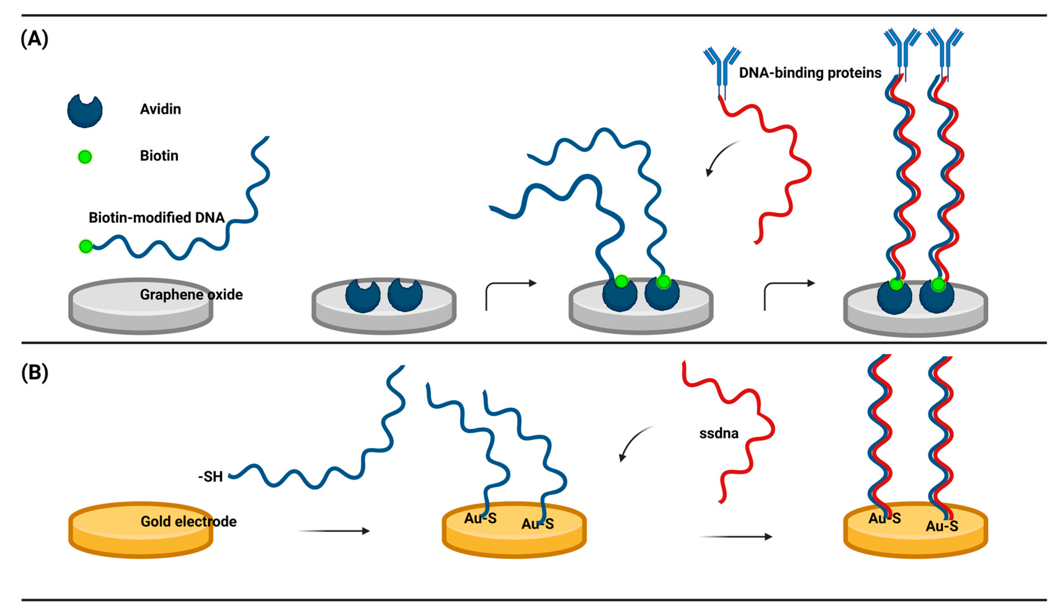 Preprints 82255 g002