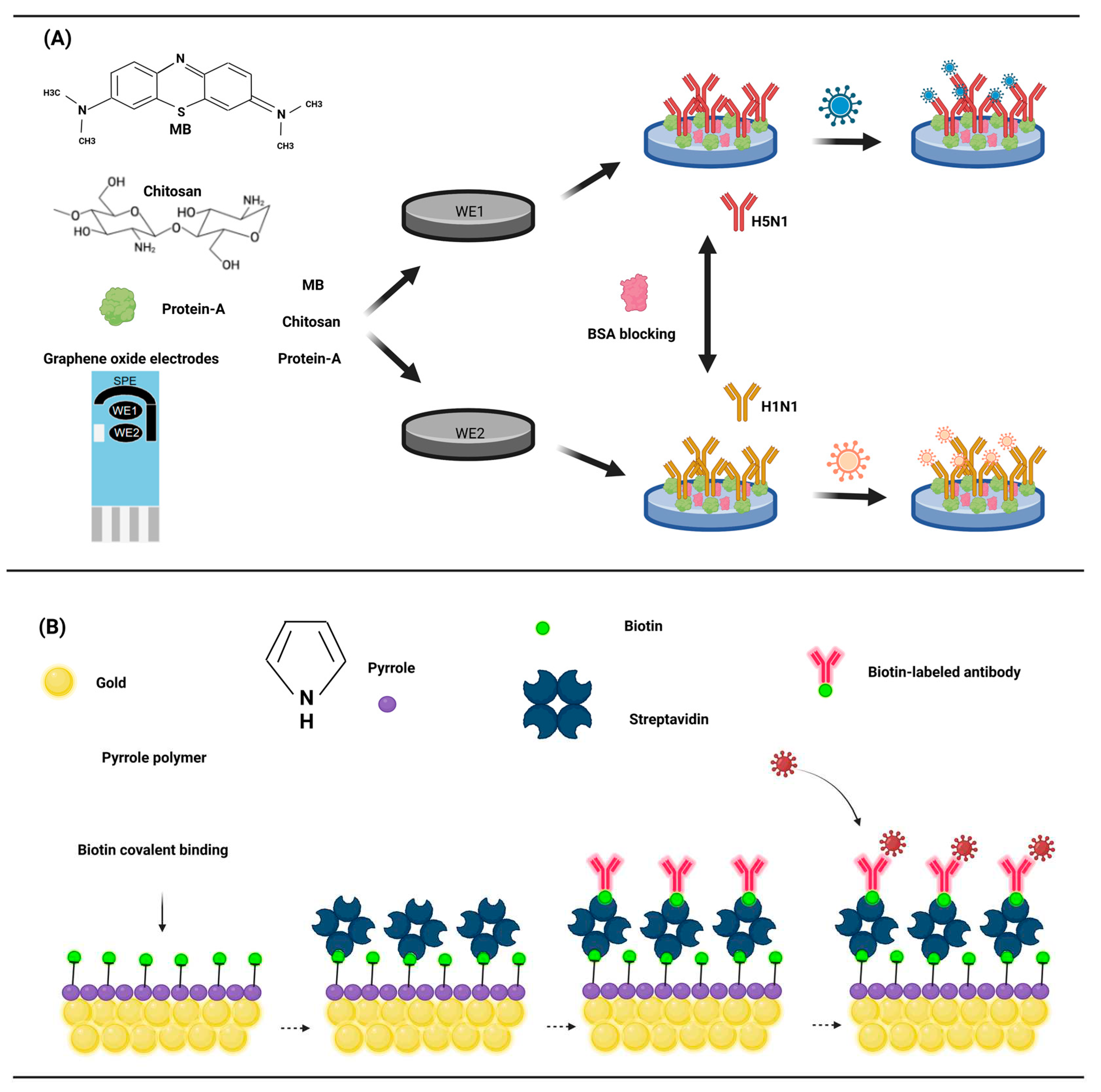 Preprints 82255 g003