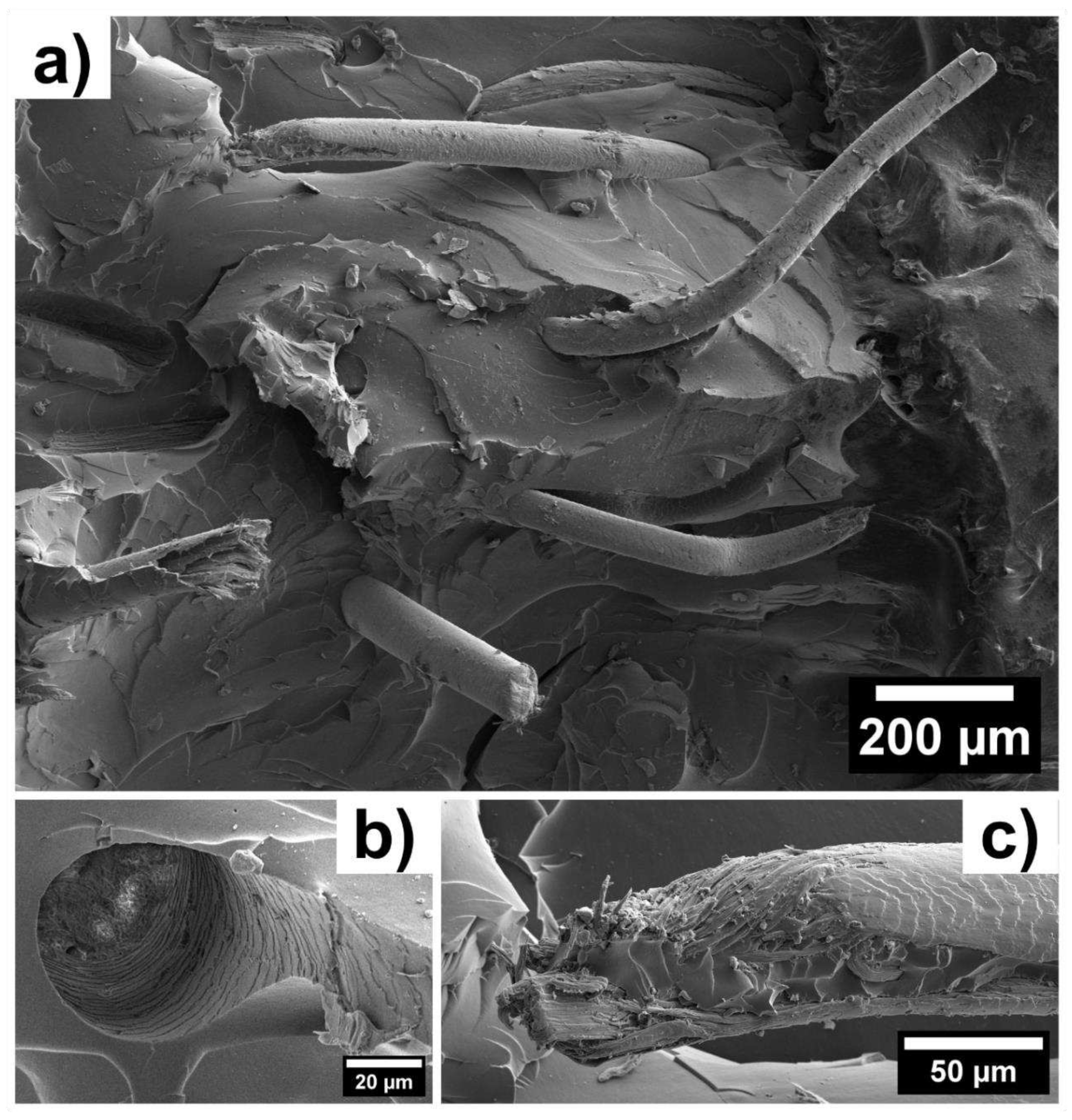 Preprints 86704 g005