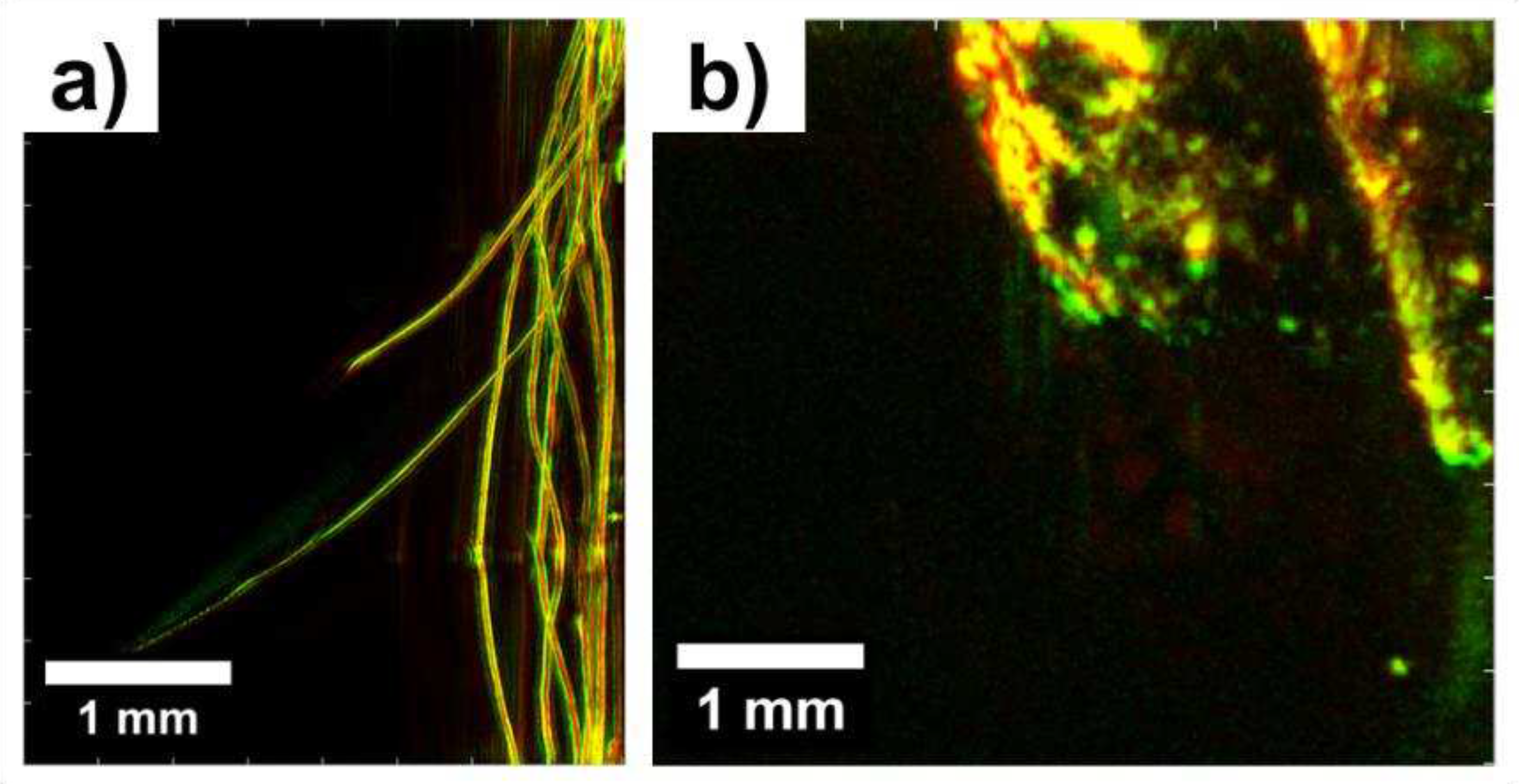 Preprints 86704 g010