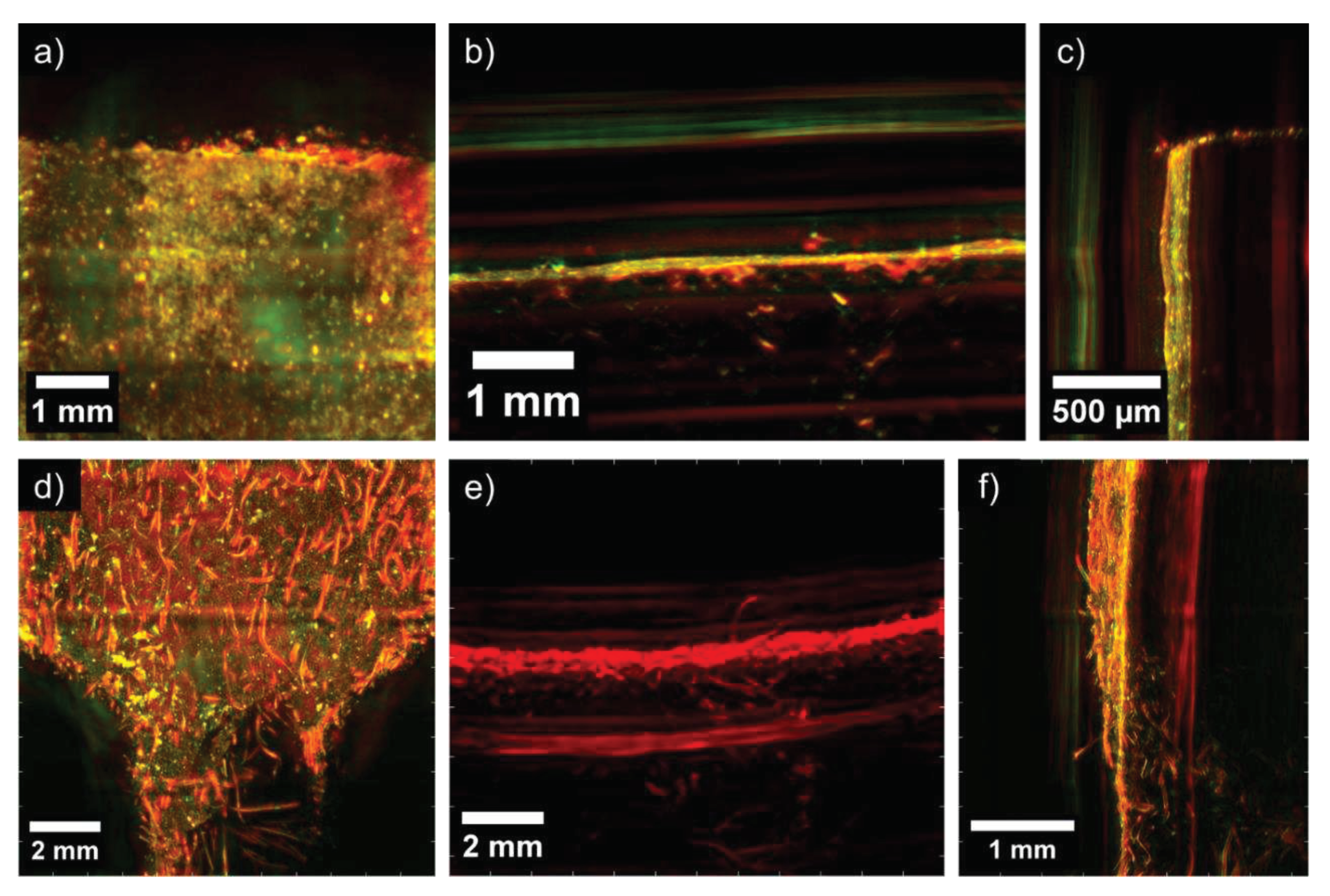 Preprints 86704 g011