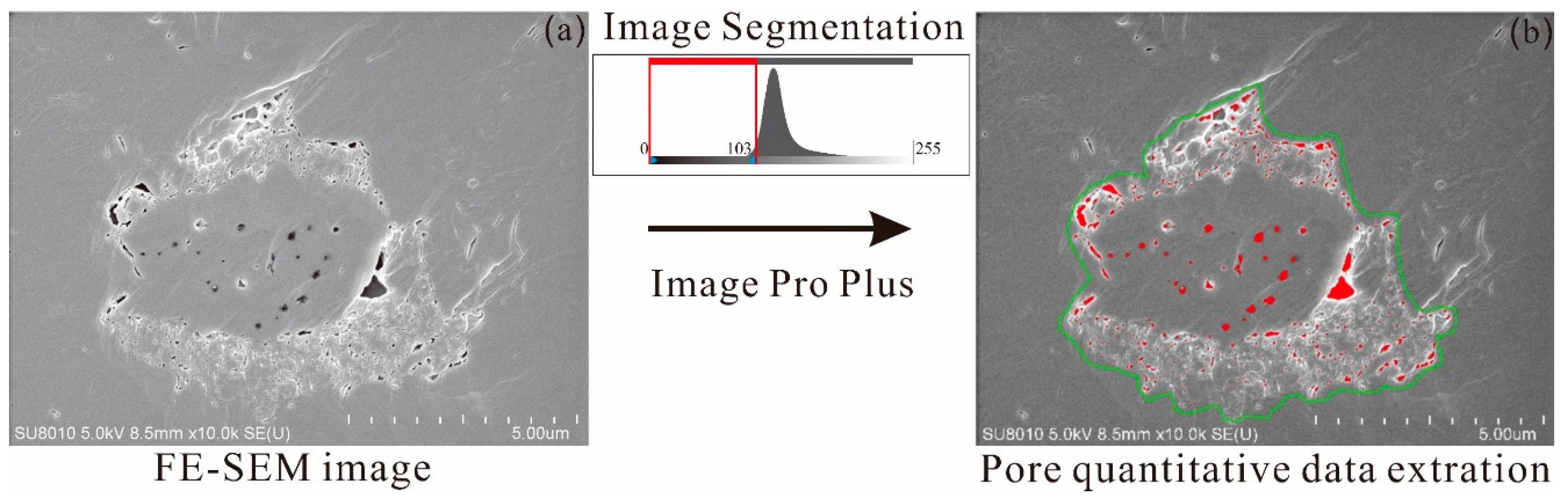 Preprints 92690 g003