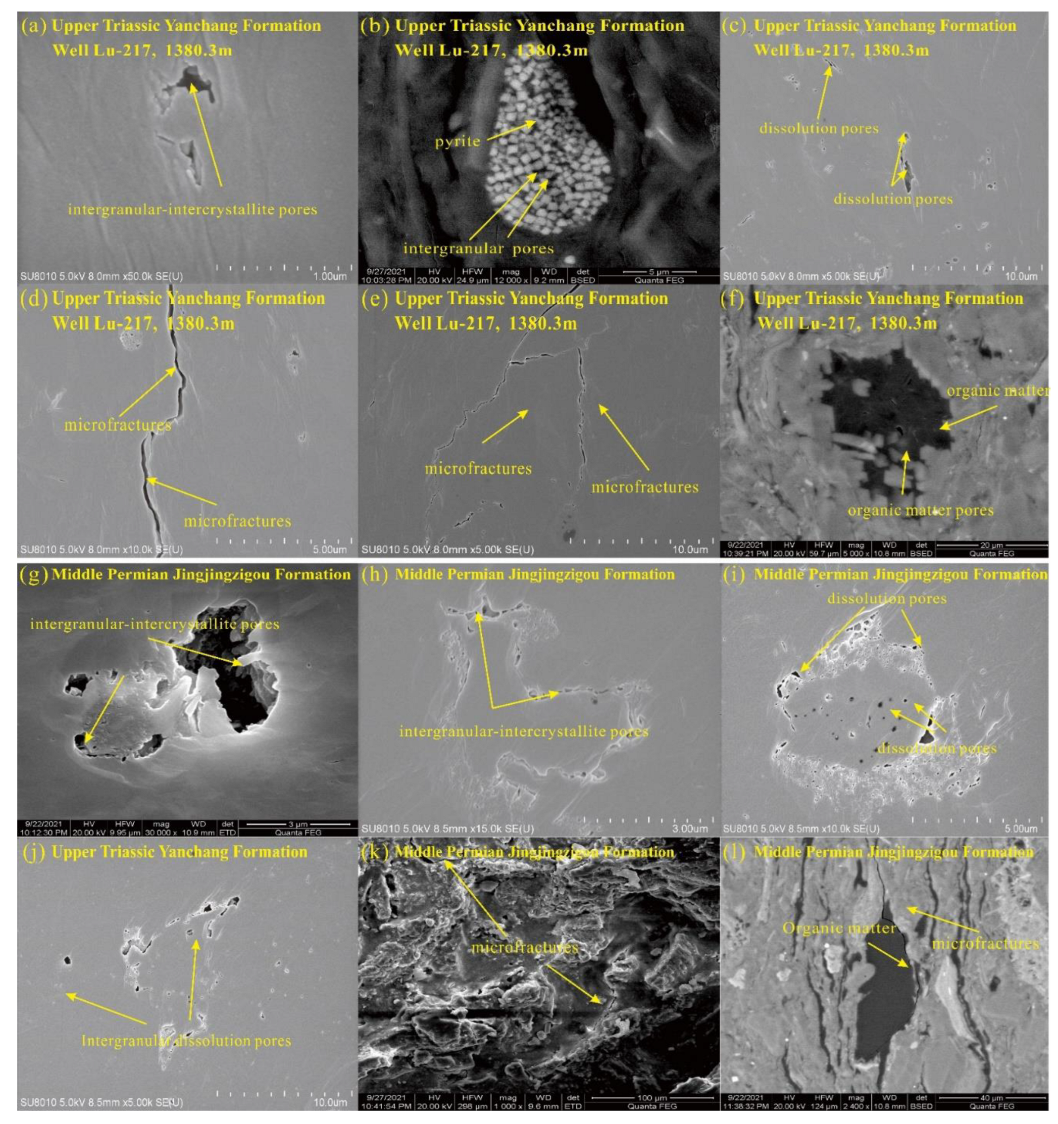 Preprints 92690 g005