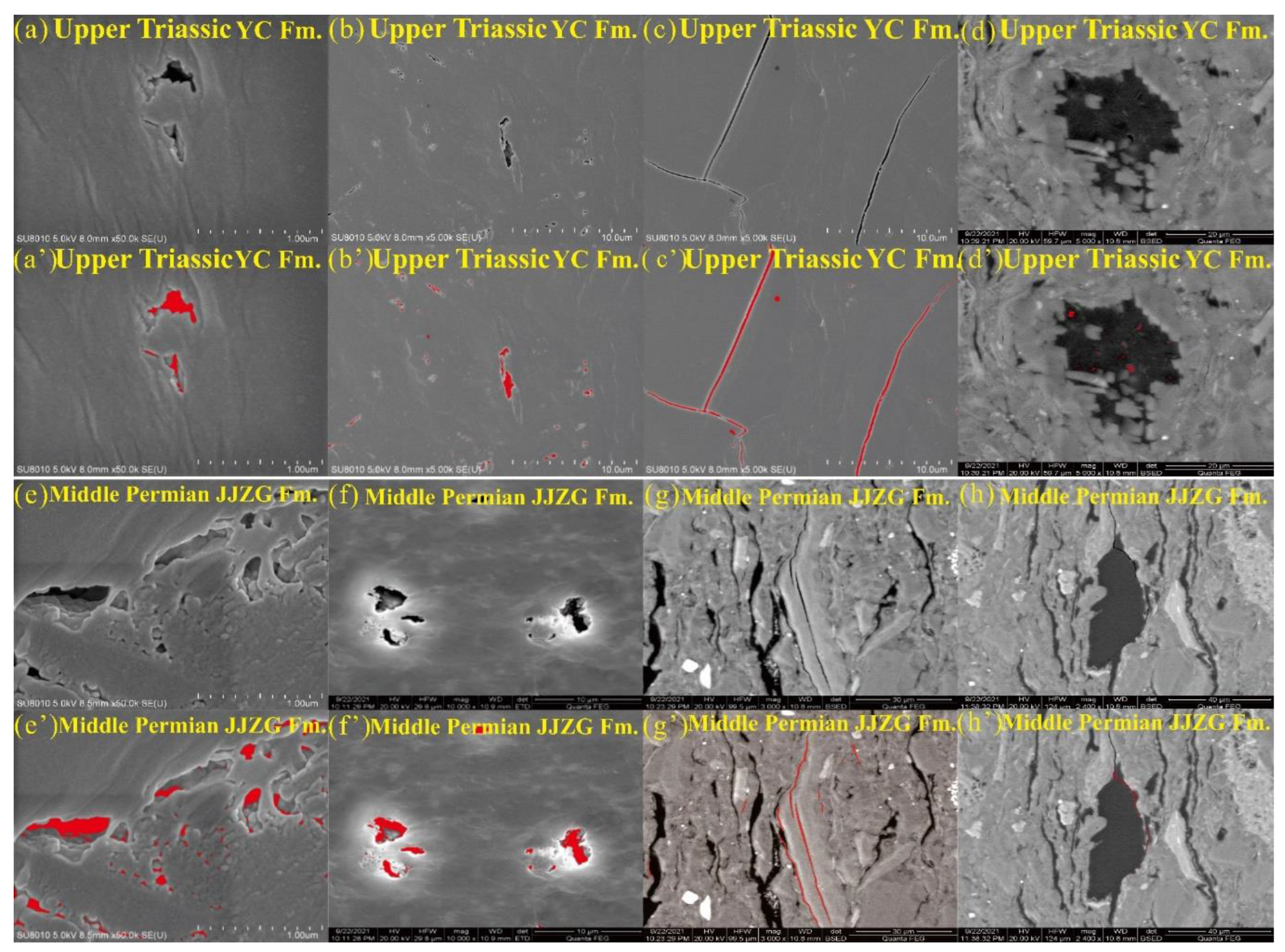 Preprints 92690 g009