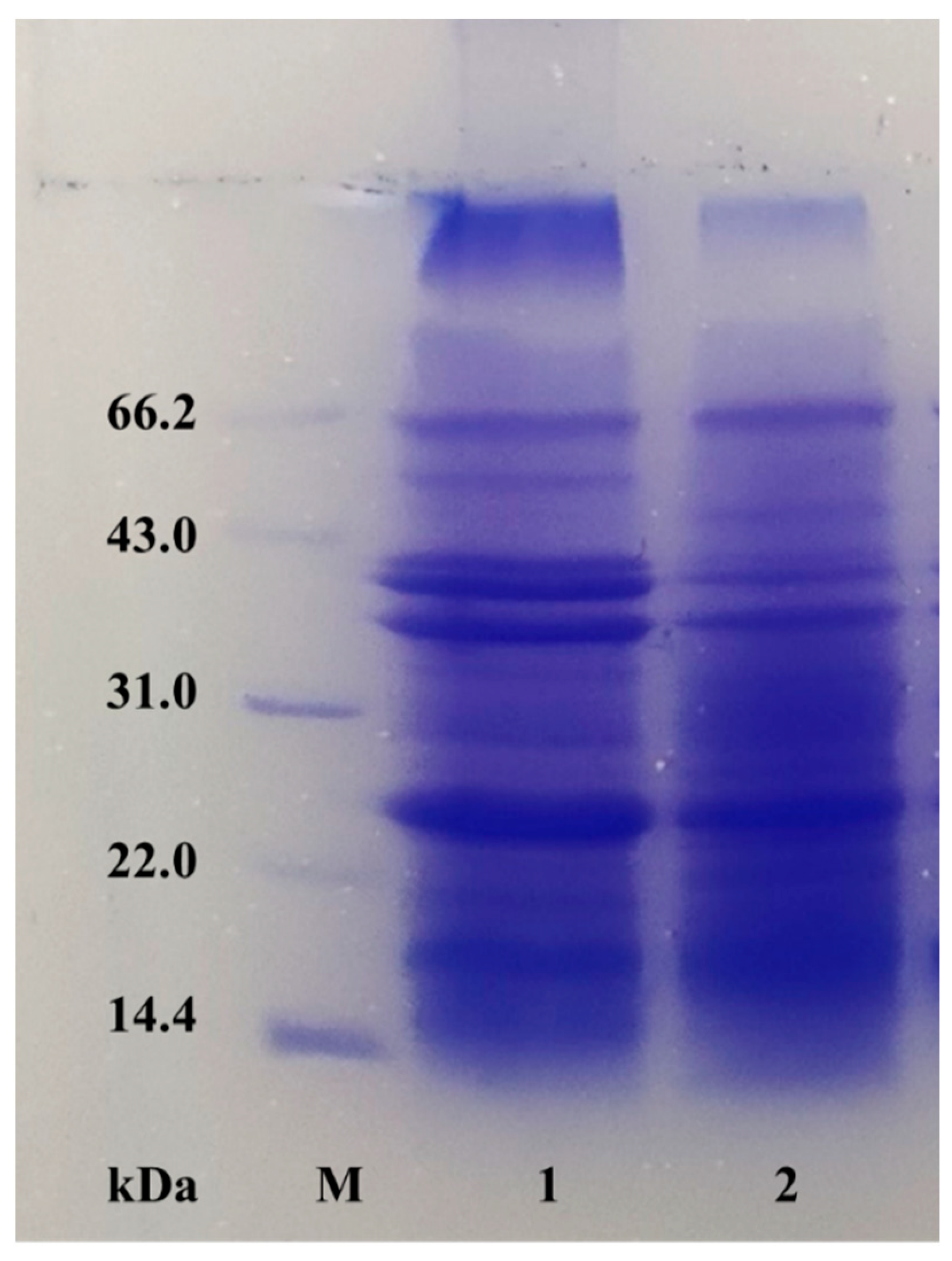 Preprints 75605 g008